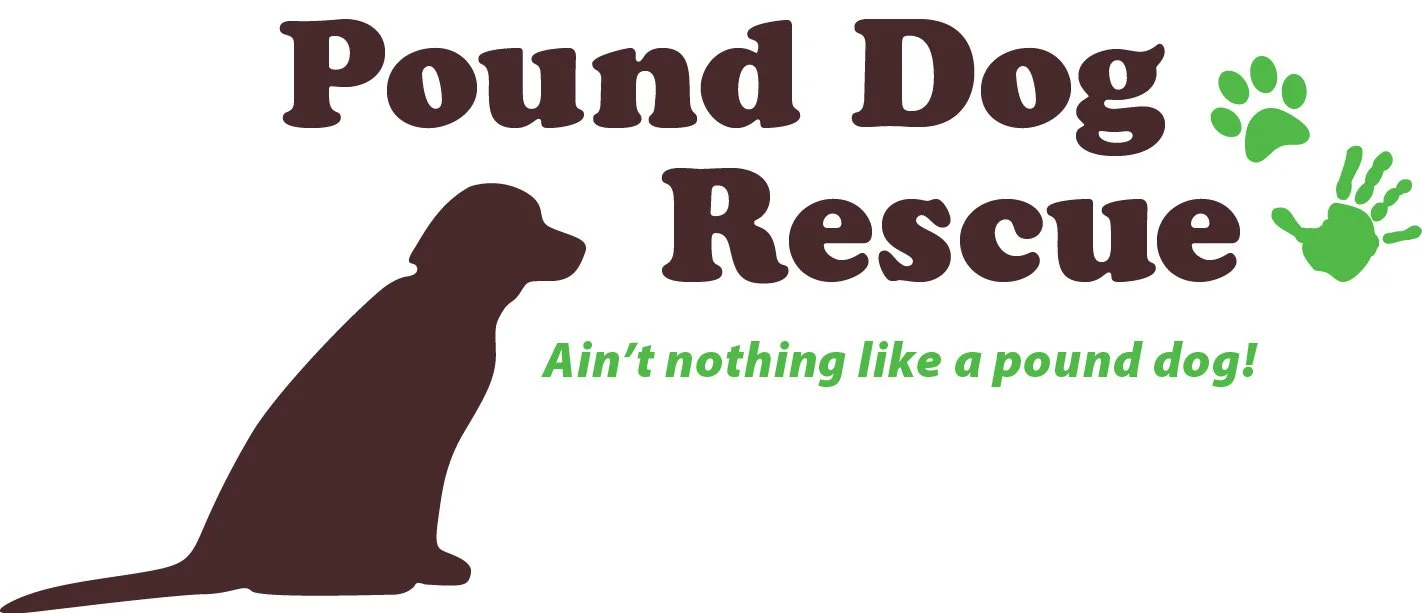 Logo for Pound Dog Rescue with a silhouette of a sitting dog and green paw print, slogan 'Ain't nothing like a pound dog!'