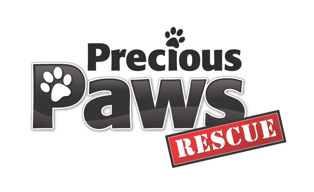 Logo for Precious Paws Rescue with paw print icons and bold text.