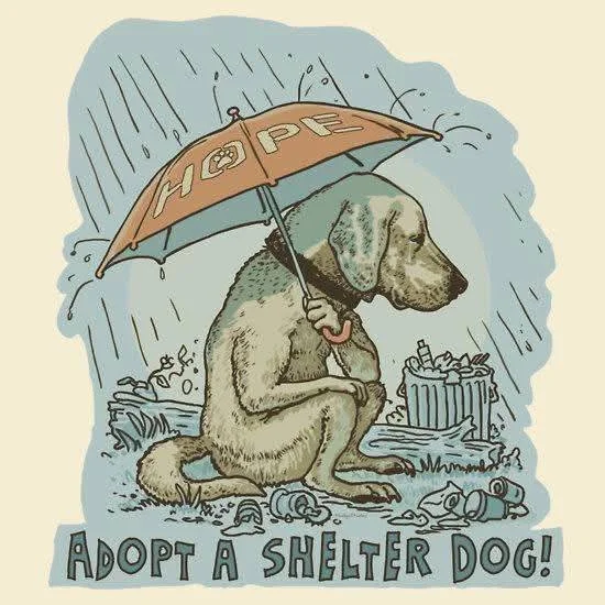 A sad dog sitting in the rain holding an umbrella with the words "Adopt a Shelter Dog!" underneath. The background shows trash and a garbage can.
