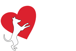 Logo of TEAM Dog Rescue with a white dog jumping in front of a red heart and the organization name.