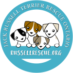 Logo of Russell Terrier Rescue Organization featuring three cartoon terriers and the website URL