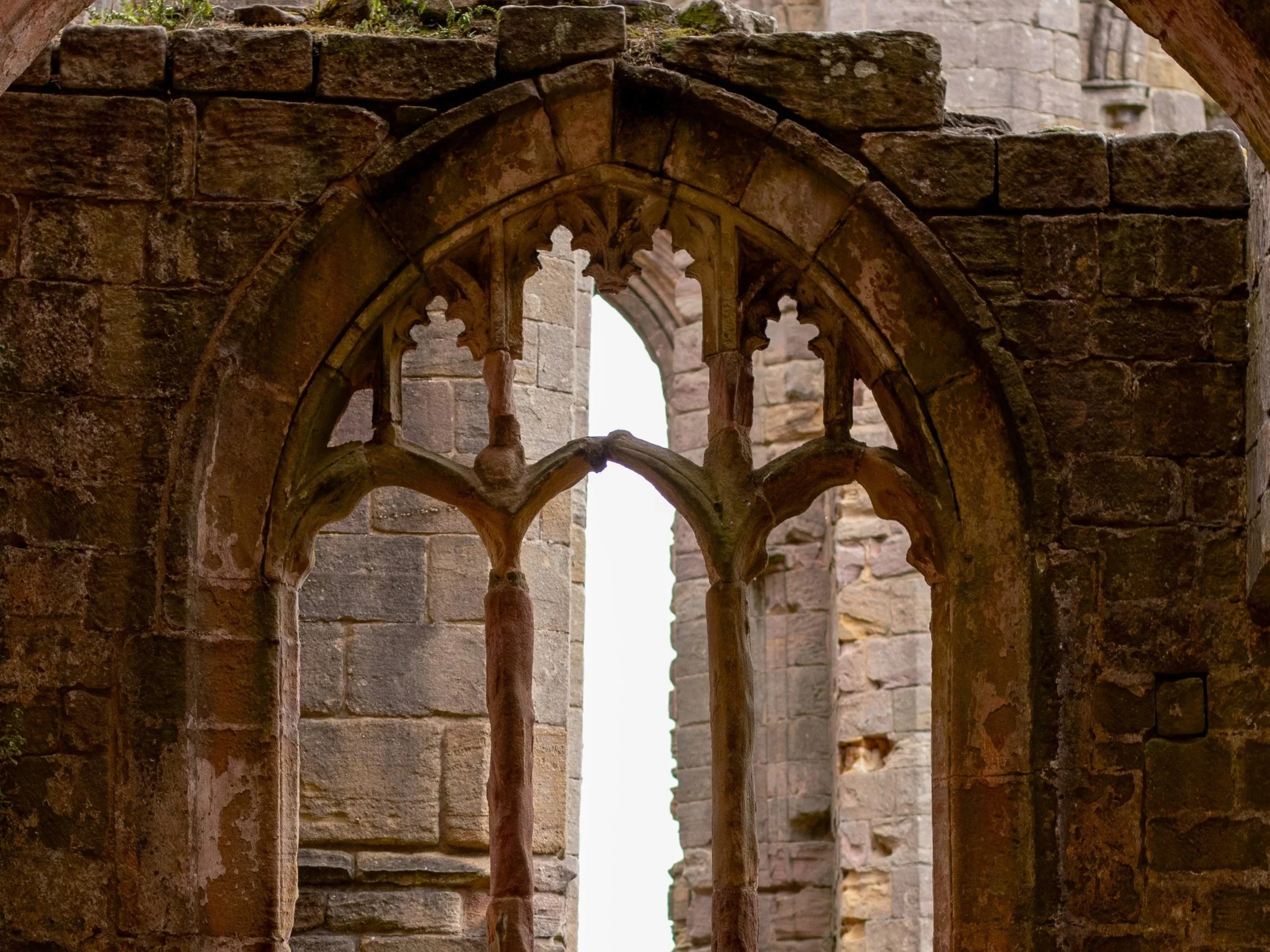 How to Use Culture and Traditions in romantasy Worldbuilding