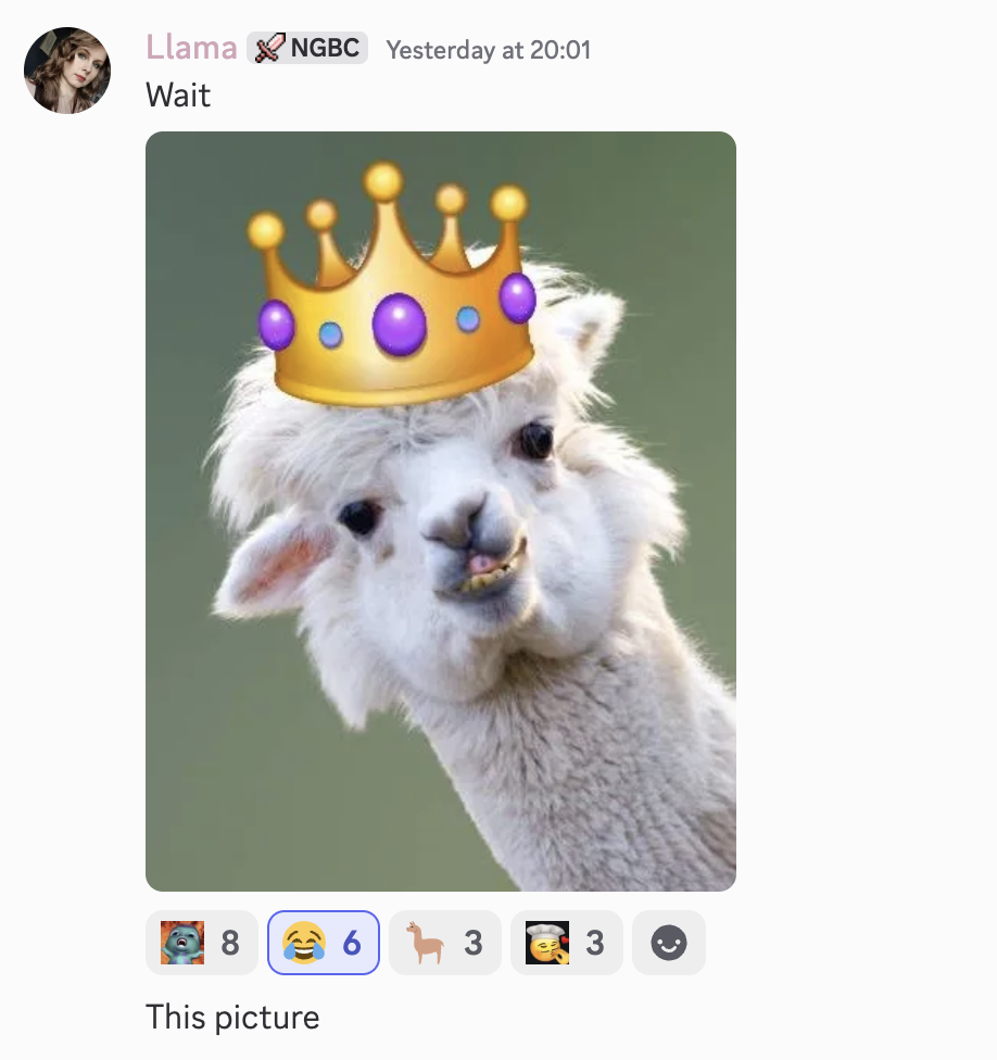 Testimonial from a member of the book club who goes by Llama. Her response is an image of a llama wearing a crown.