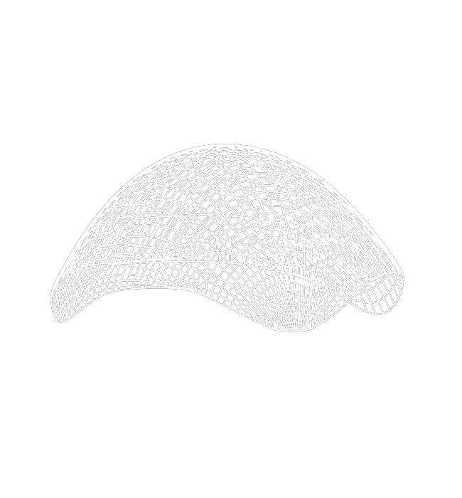 Eine 3D-Drahtgitterstruktur in Form einer halbkreisförmigen, gekrümmten Oberfläche.