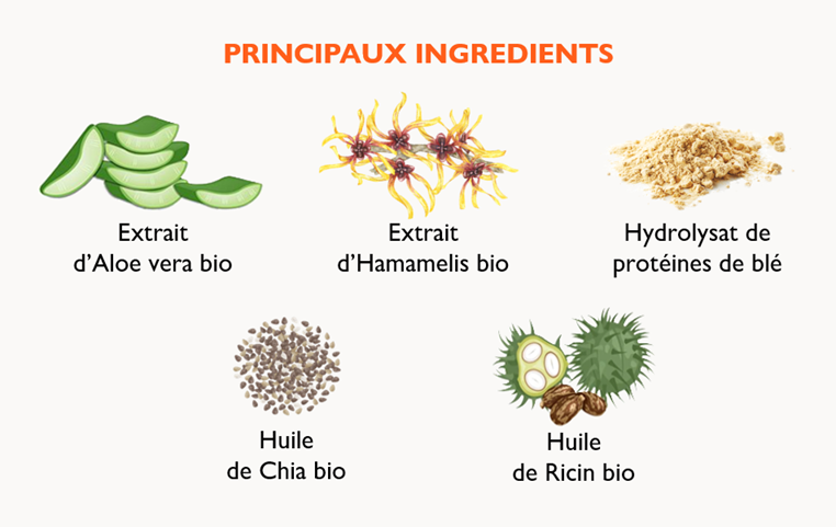 Les principaux ingrédients du produit, comprenant de l'extrait d'Aloe vera bio, de l'extrait de Hamamelis bio, du hydrolysat de protéines de blé, de l'huile de Chia bio, et de l'huile de Ricin bio.