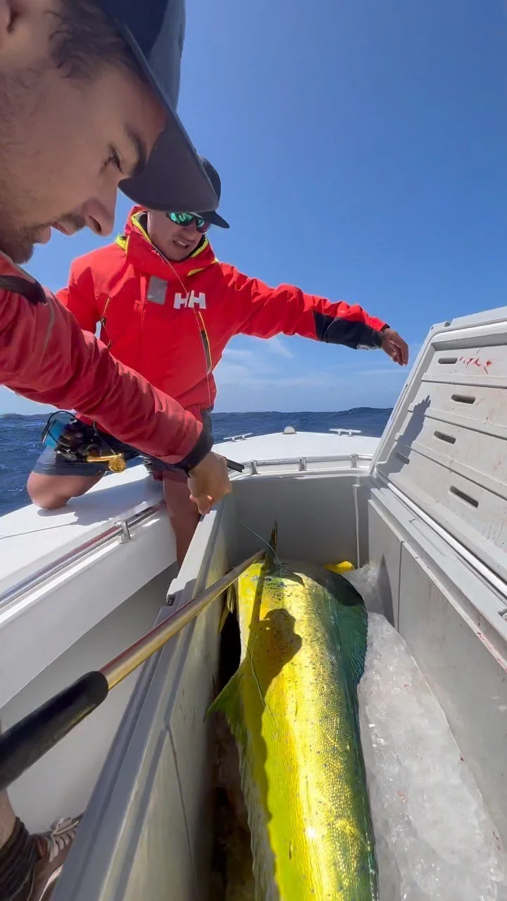 Offshore Full Experience