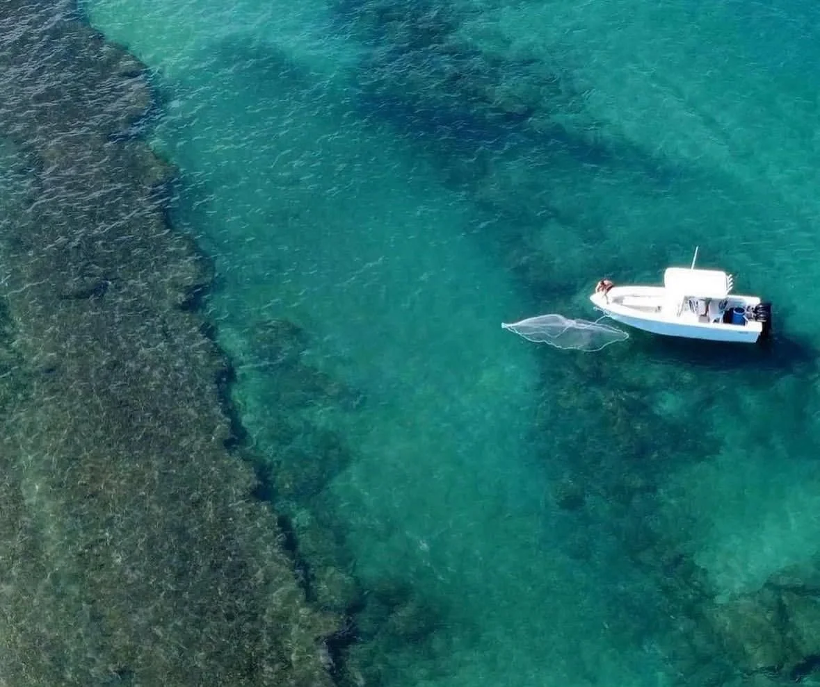 3hrs+ Sunrise Reef Fishing Trip