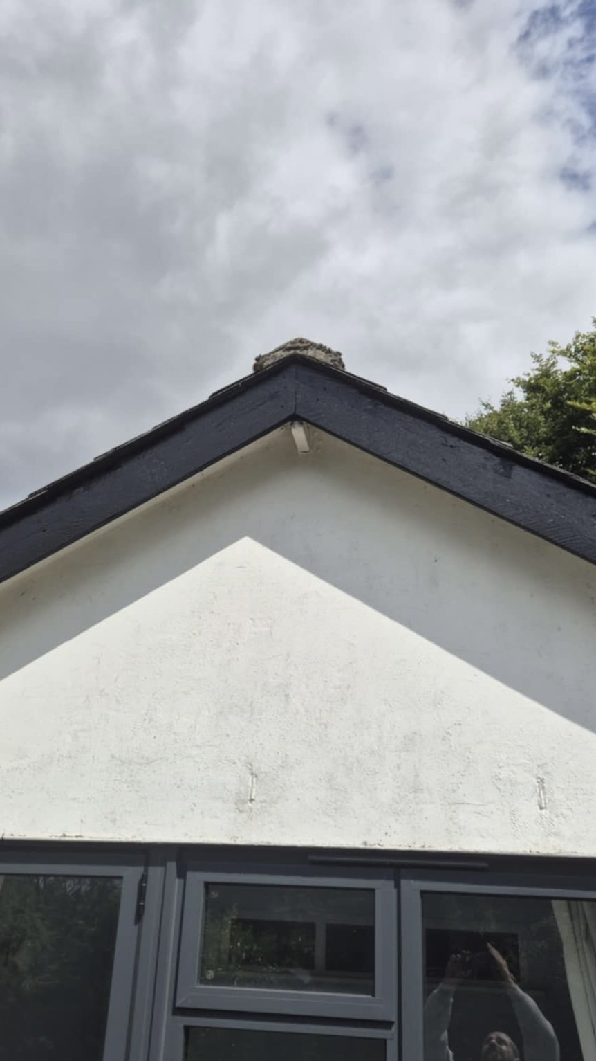 Fascia renewal and weatherproofing against coastal weather on a home in Devon by Apex Roofing