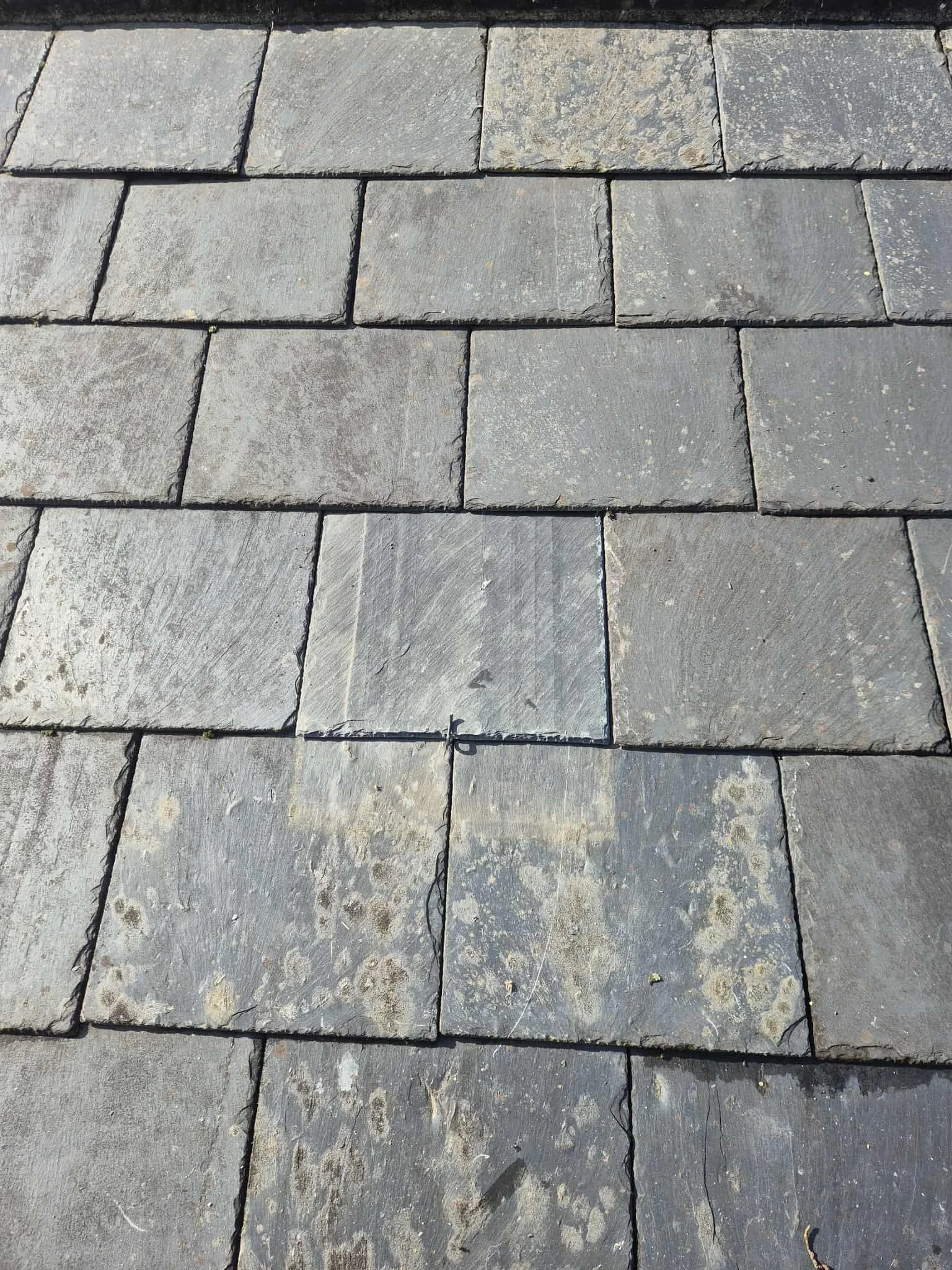 Close-up view of gray stone paving bricks arranged in a pattern on the ground.