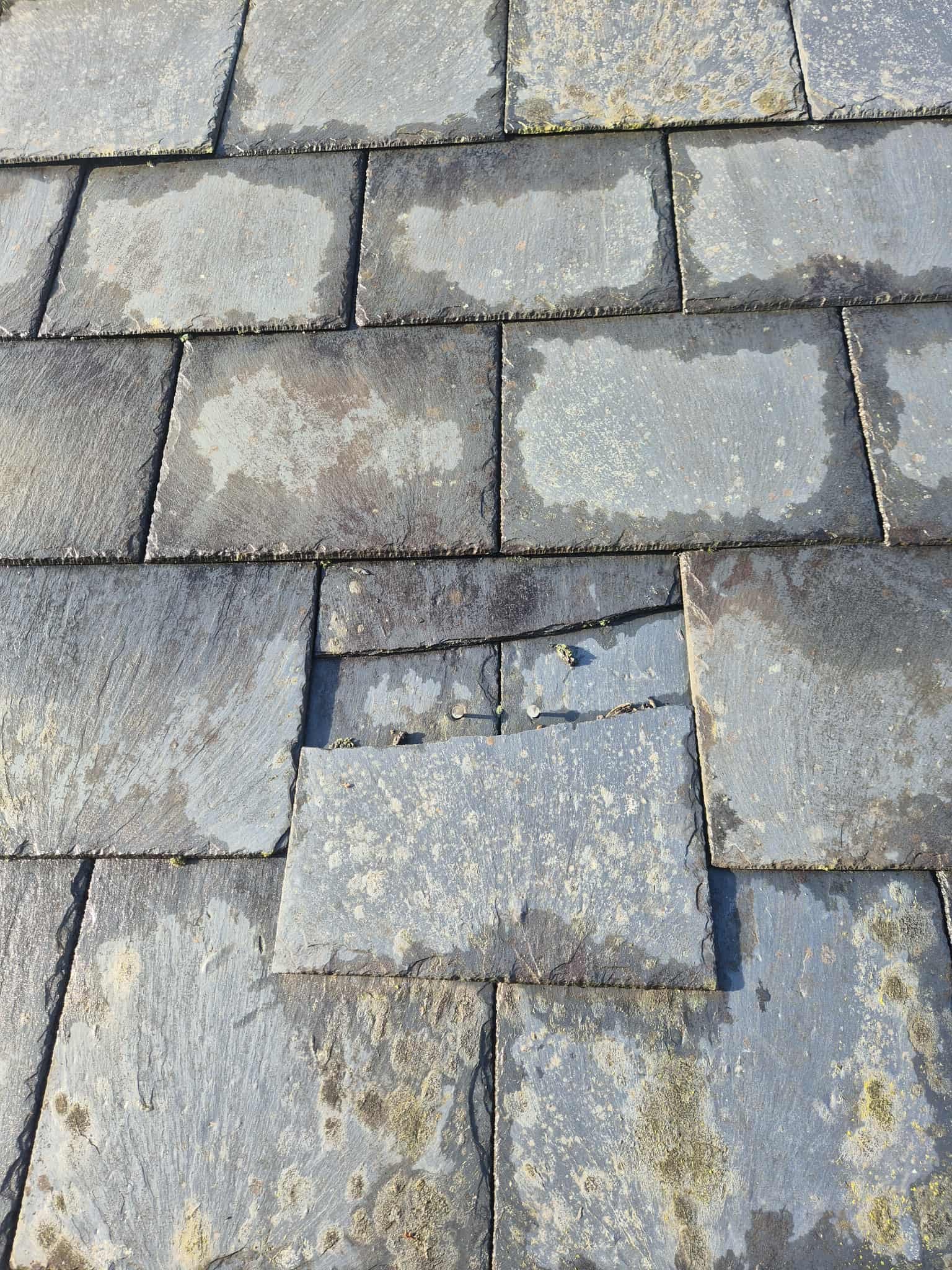 Cracked tile repair from age related damage in Lyme Regis