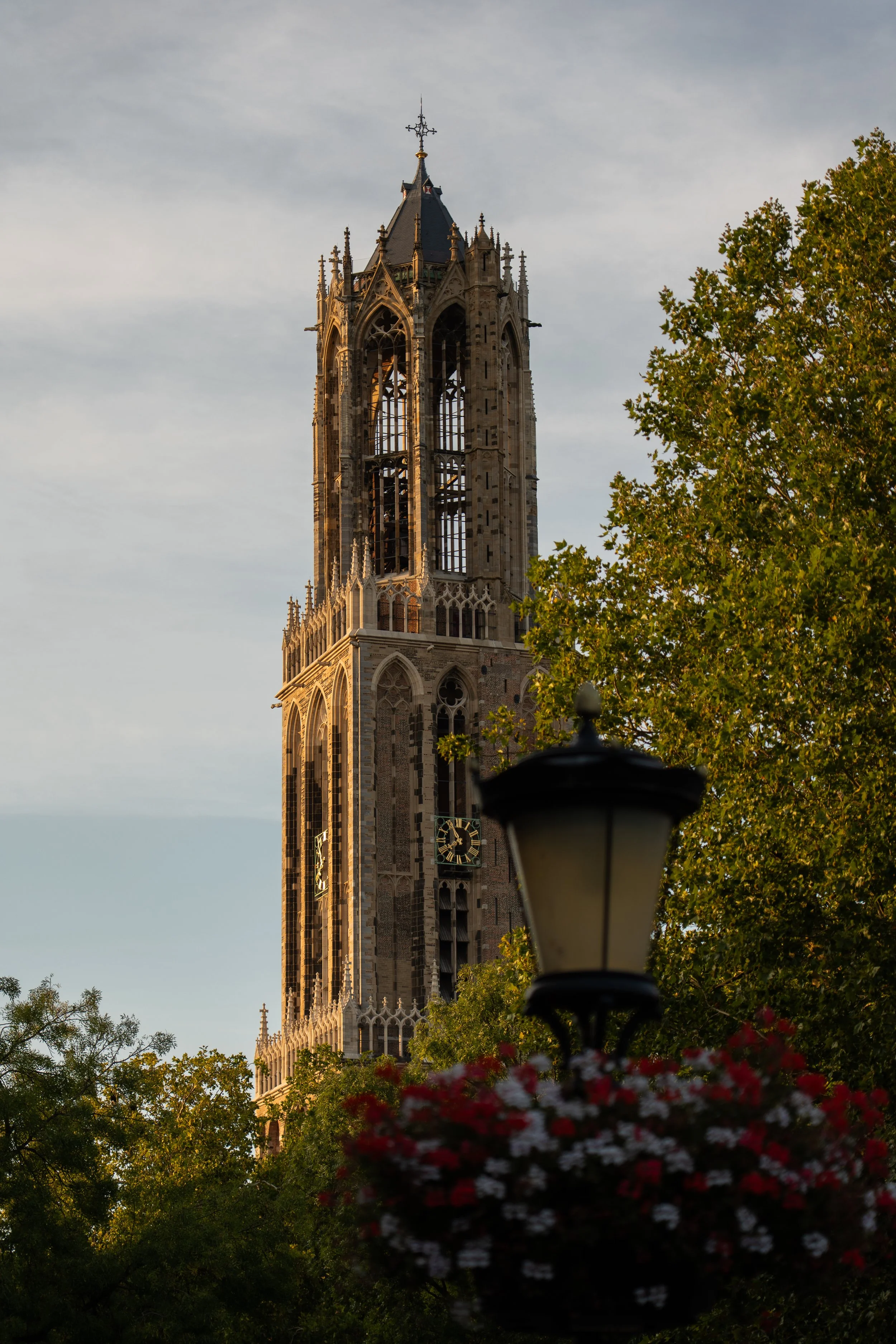 Business video and personal branding