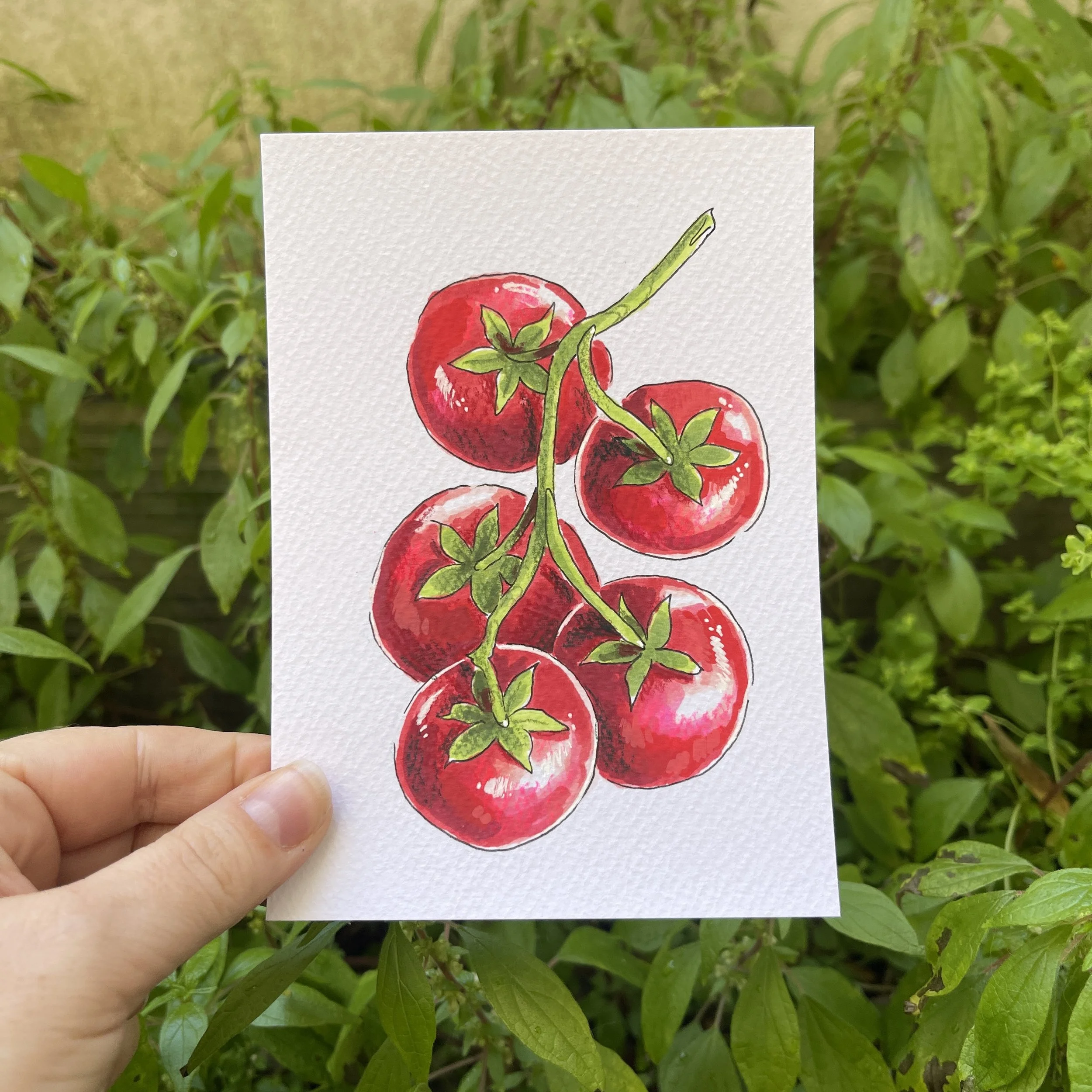 Dessin de tomates
