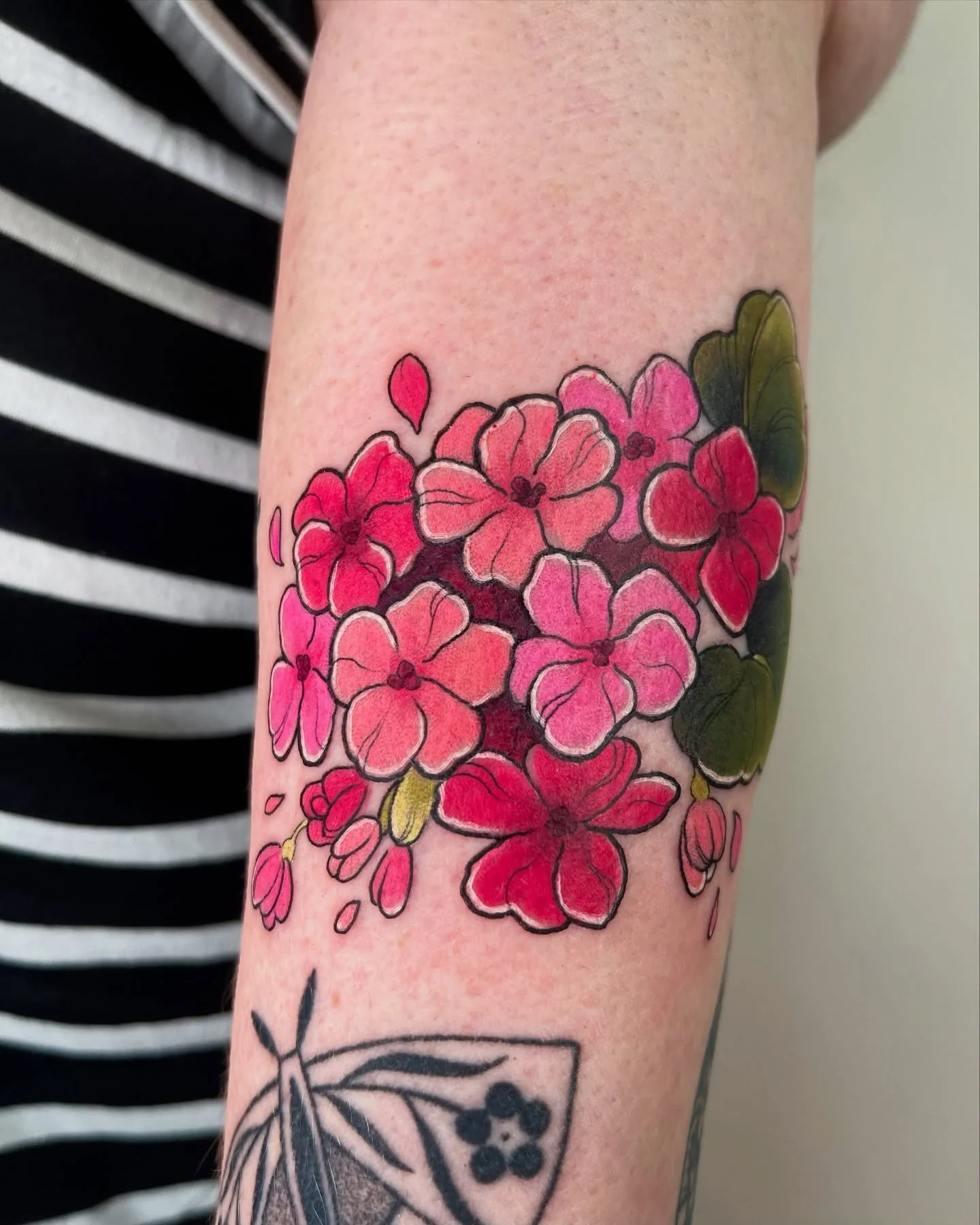 Un joli bouquet de g&eacute;raniums ros&eacute;s pour Virginie ✨

&Ccedil;a vient d&rsquo;une planche de flash qui date de tr&egrave;s longtemps et sur laquelle elle avait craqu&eacute; ! Je vous mets d&rsquo;autres exemples en esp&eacute;rant que vo