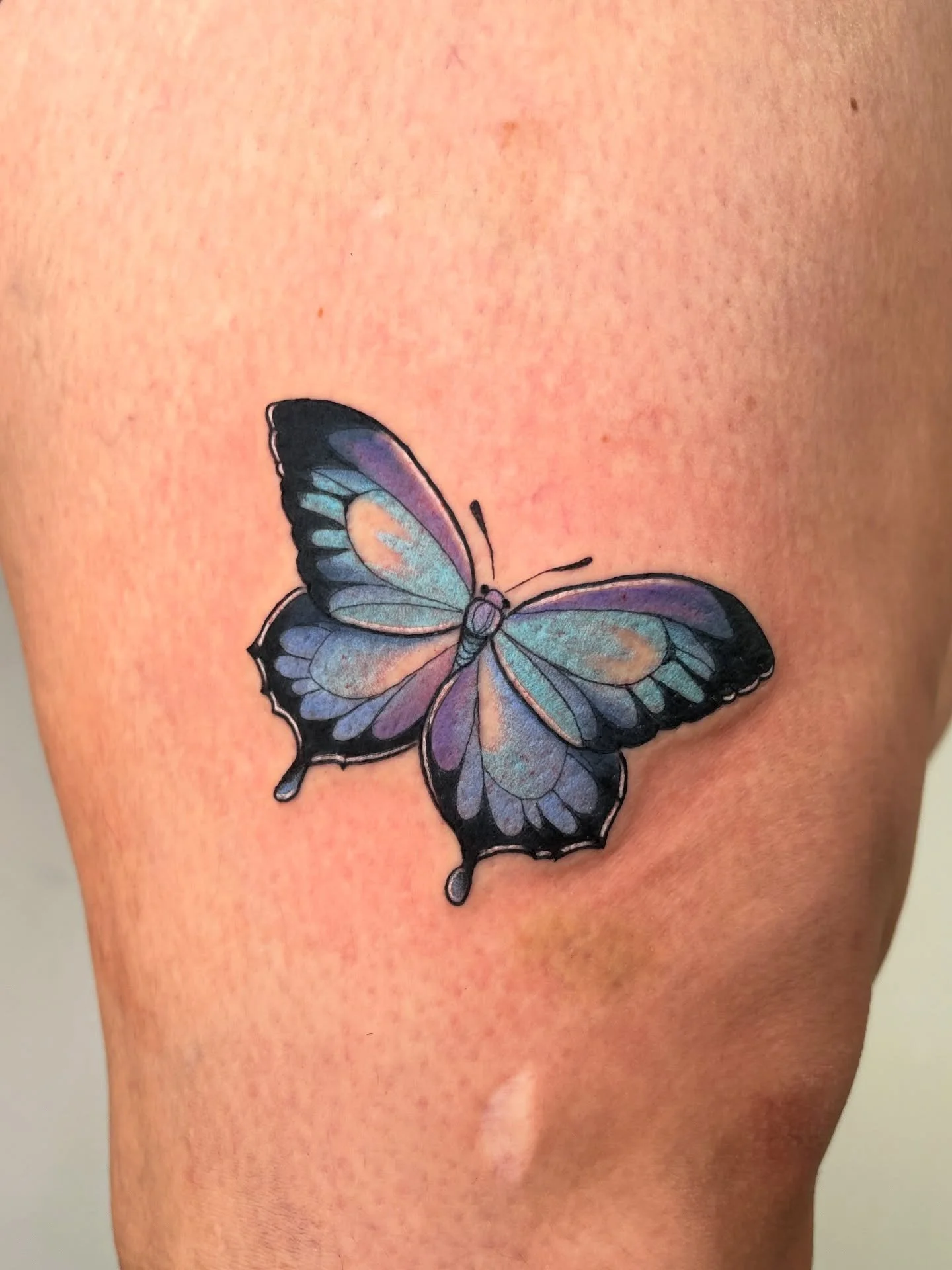Petit papillon Ulysse pour Madi ✨
Et de jolis papillons &agrave; adopter si celui t&rsquo;a donn&eacute; envie !

si tu veux un tatouage trop cool, envoie-moi ta demande via mon formulaire, le lien est dans ma bio 💌

Il te faudra obligatoirement : 
