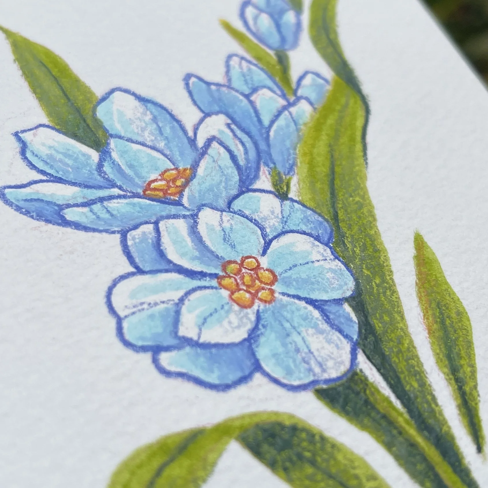 original_delphinium2.jpg