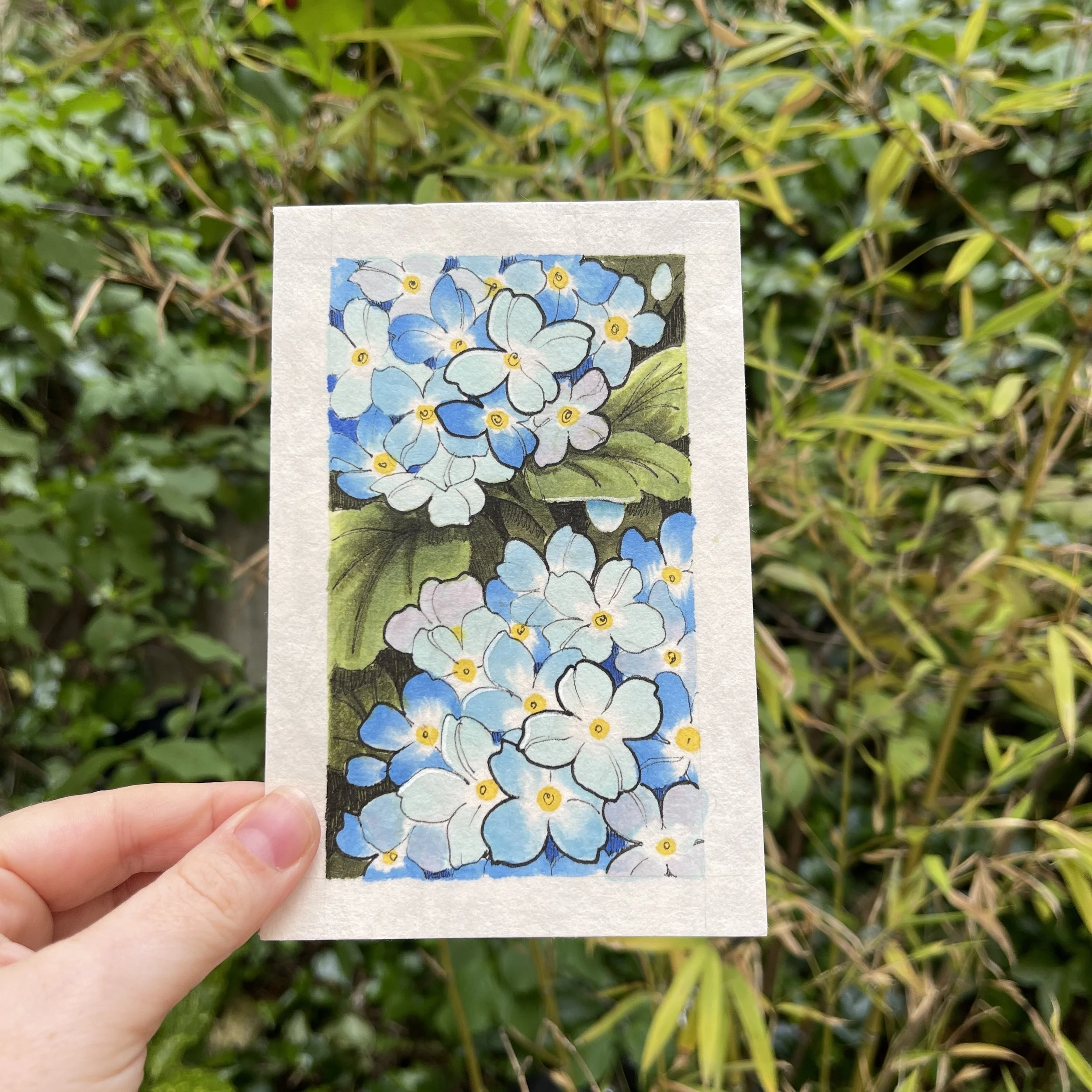 Dessin d'hortensias bleus