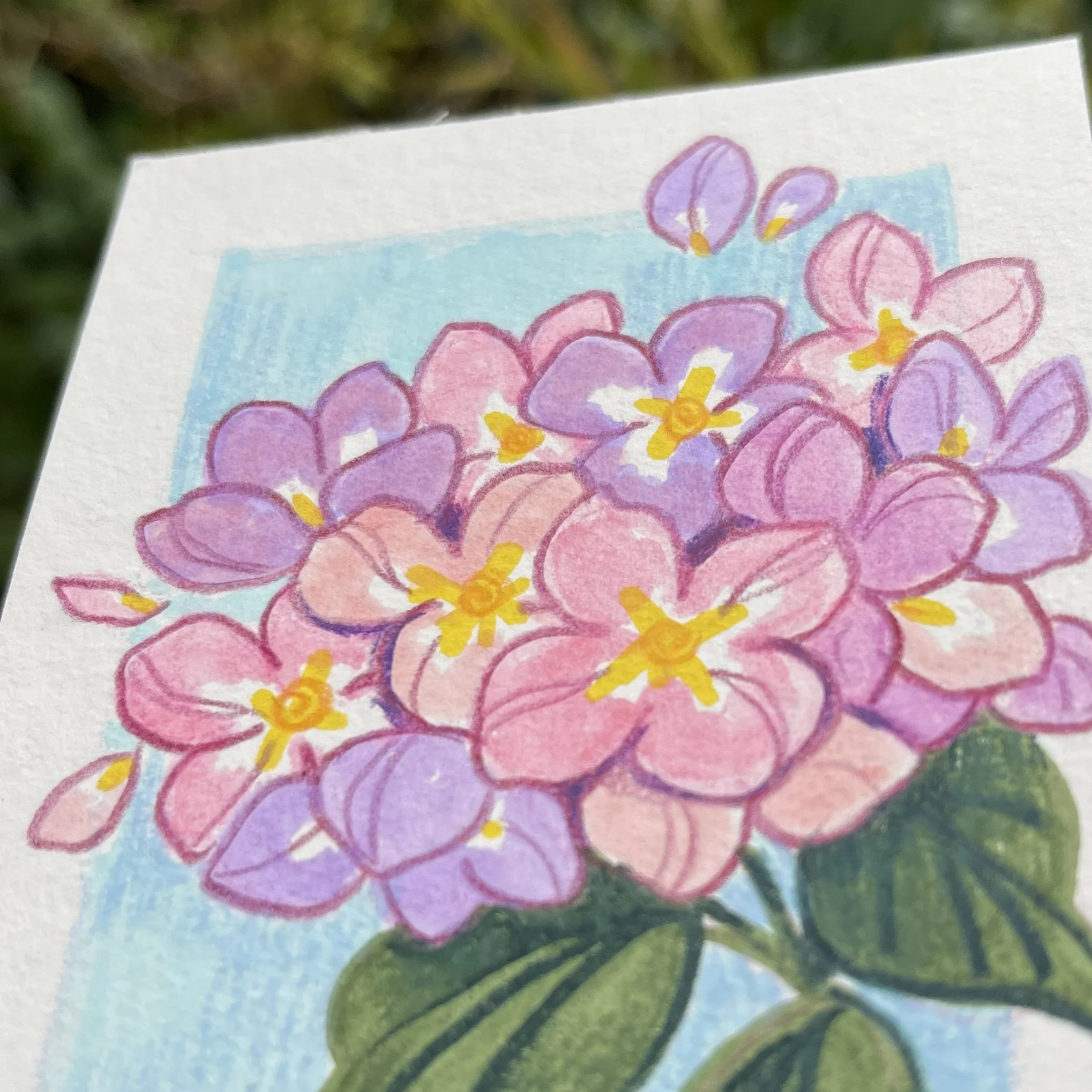 original_hortensias2.jpg