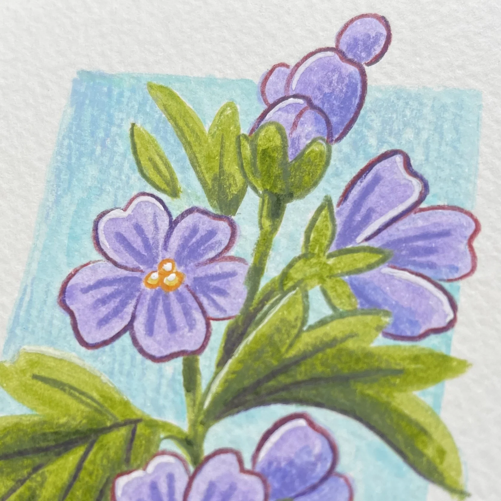 original_mauve2.jpg