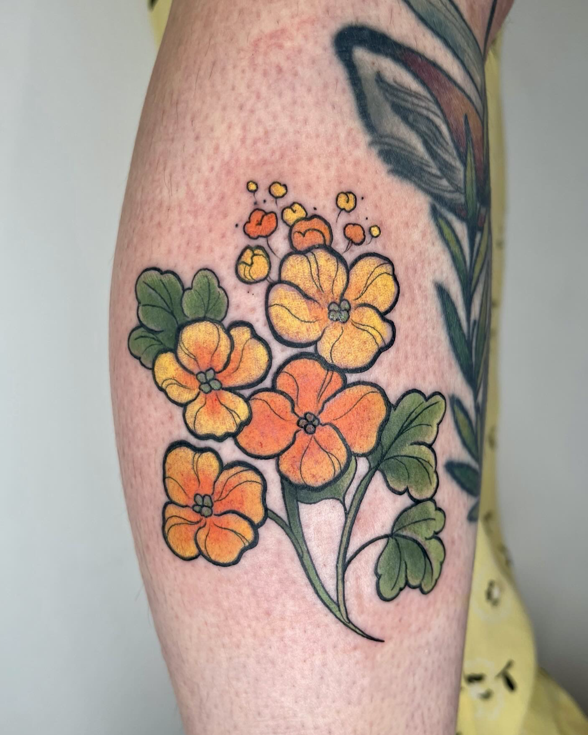 tattooinkyfiona15.png