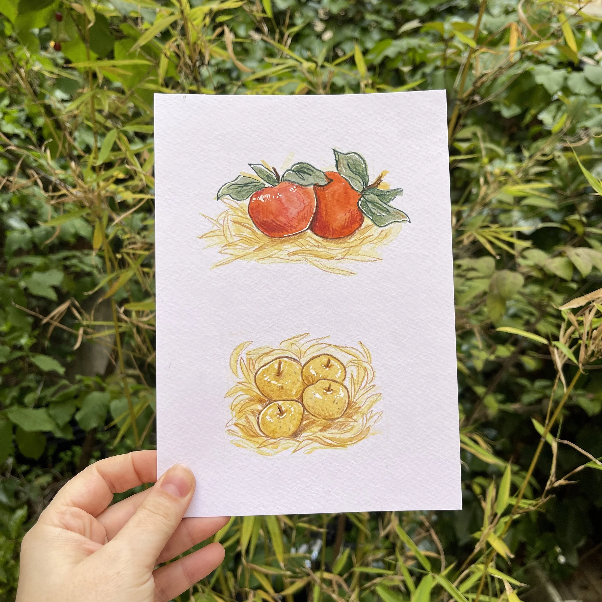 Dessin de pommes