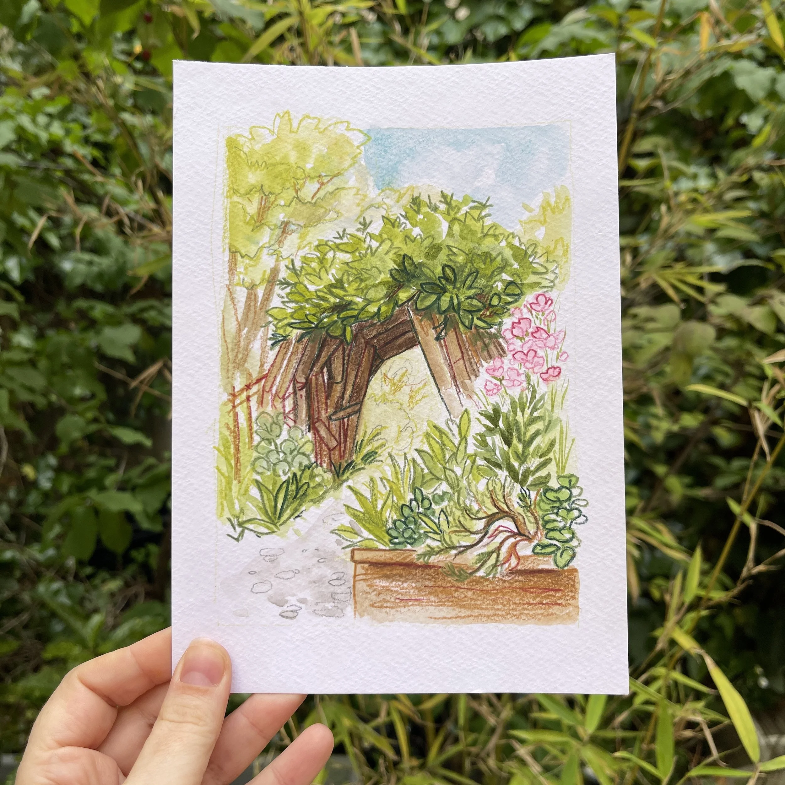 Dessin de jardin