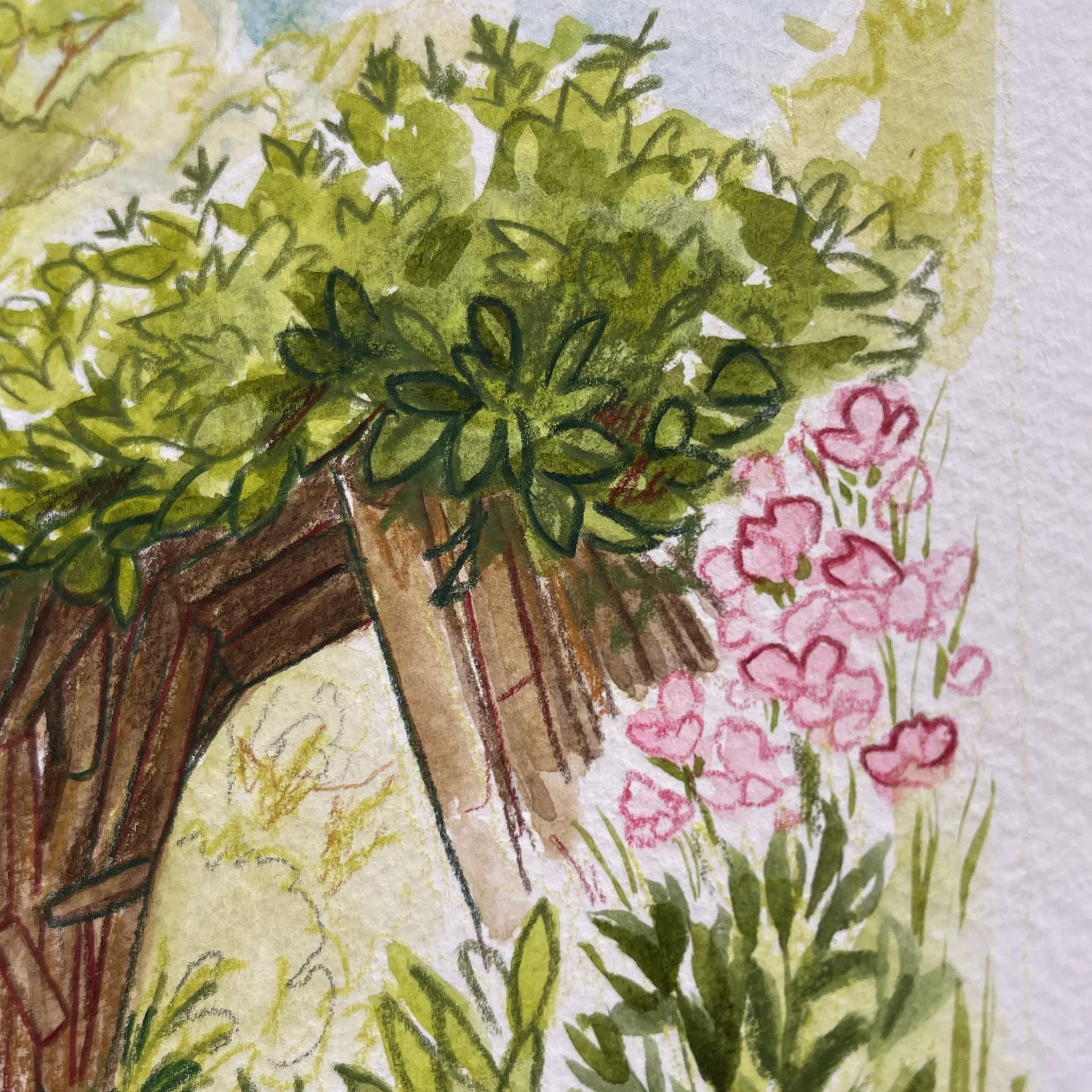 original_jardinpasagers2.jpg