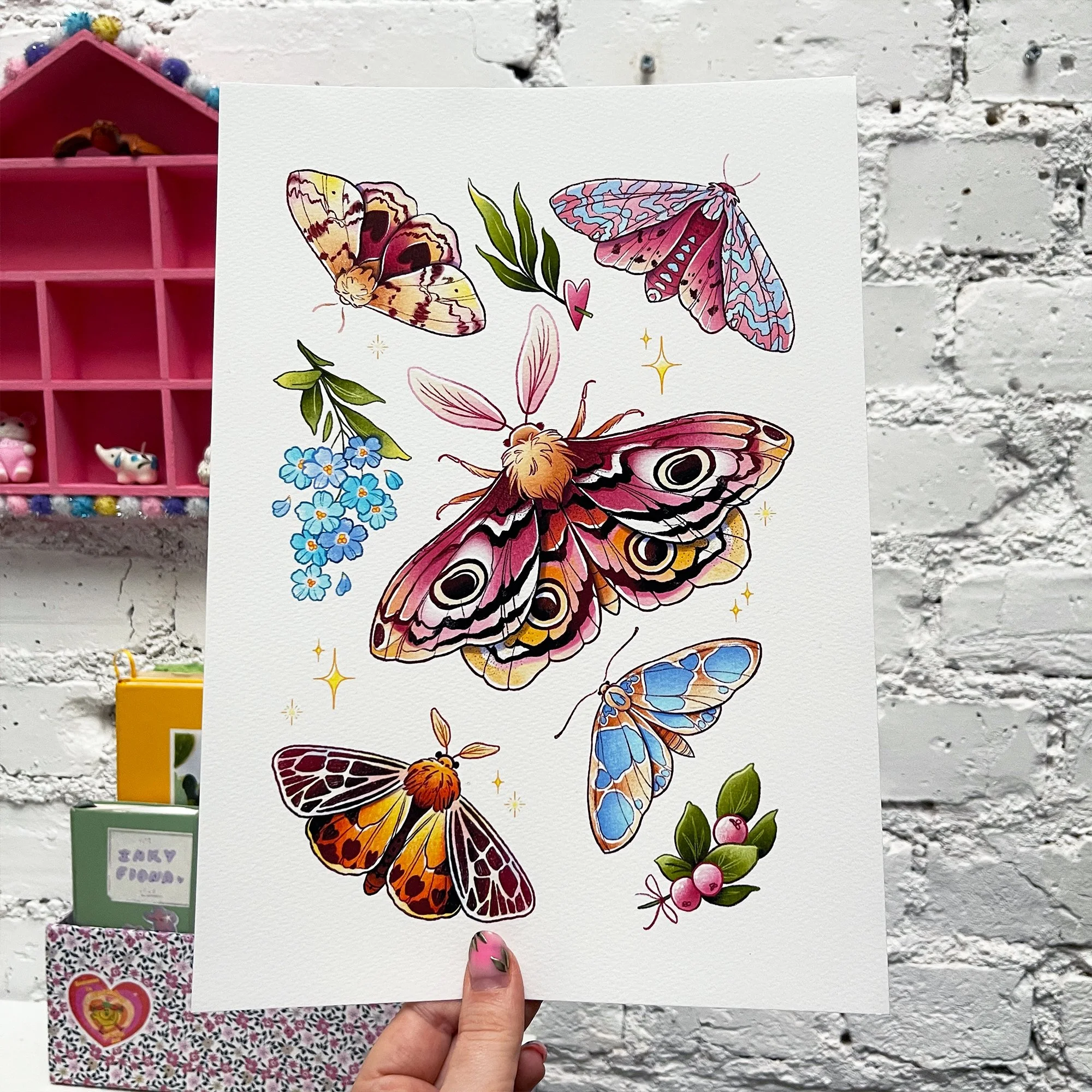 illu Noctua Botanica