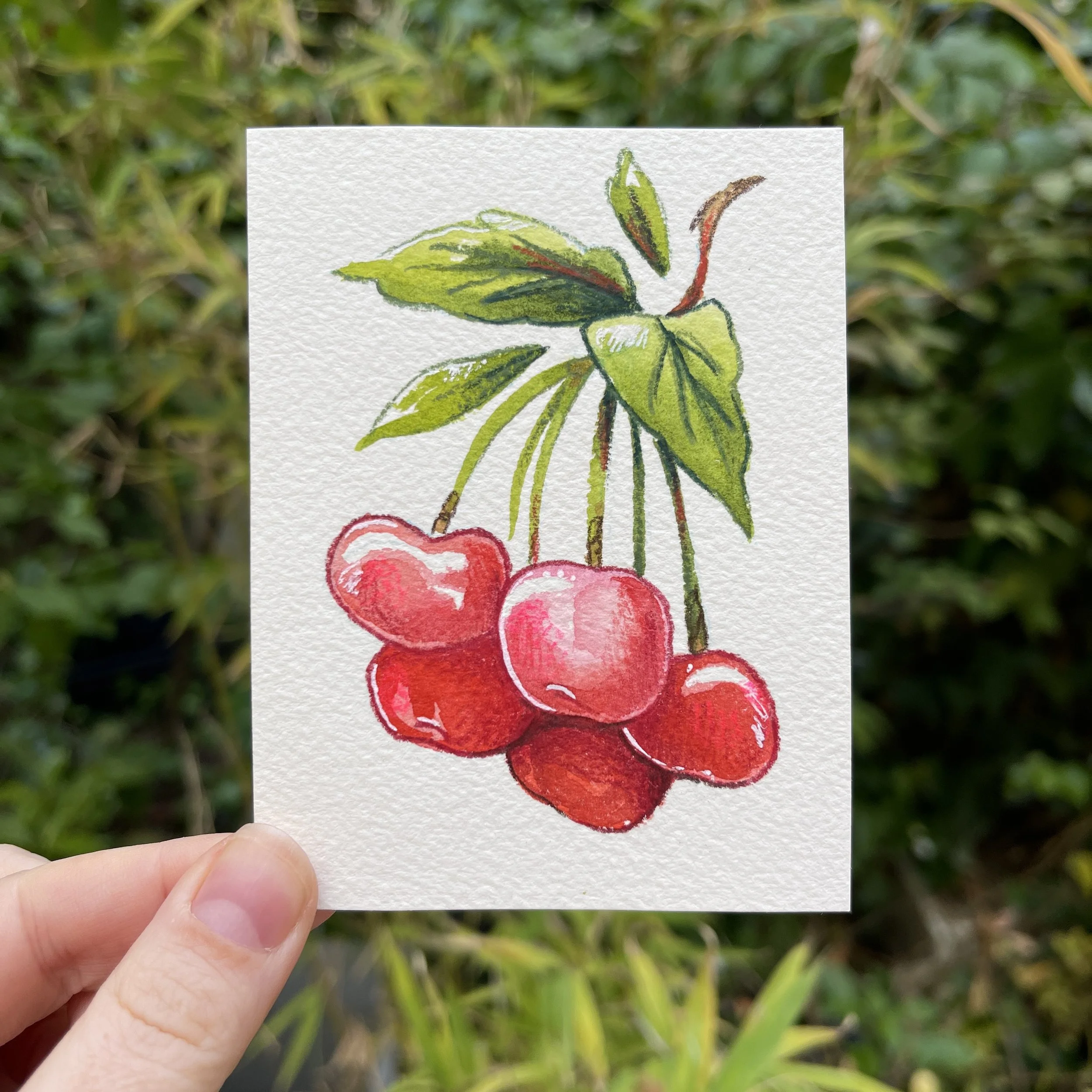 original_cerises.jpg