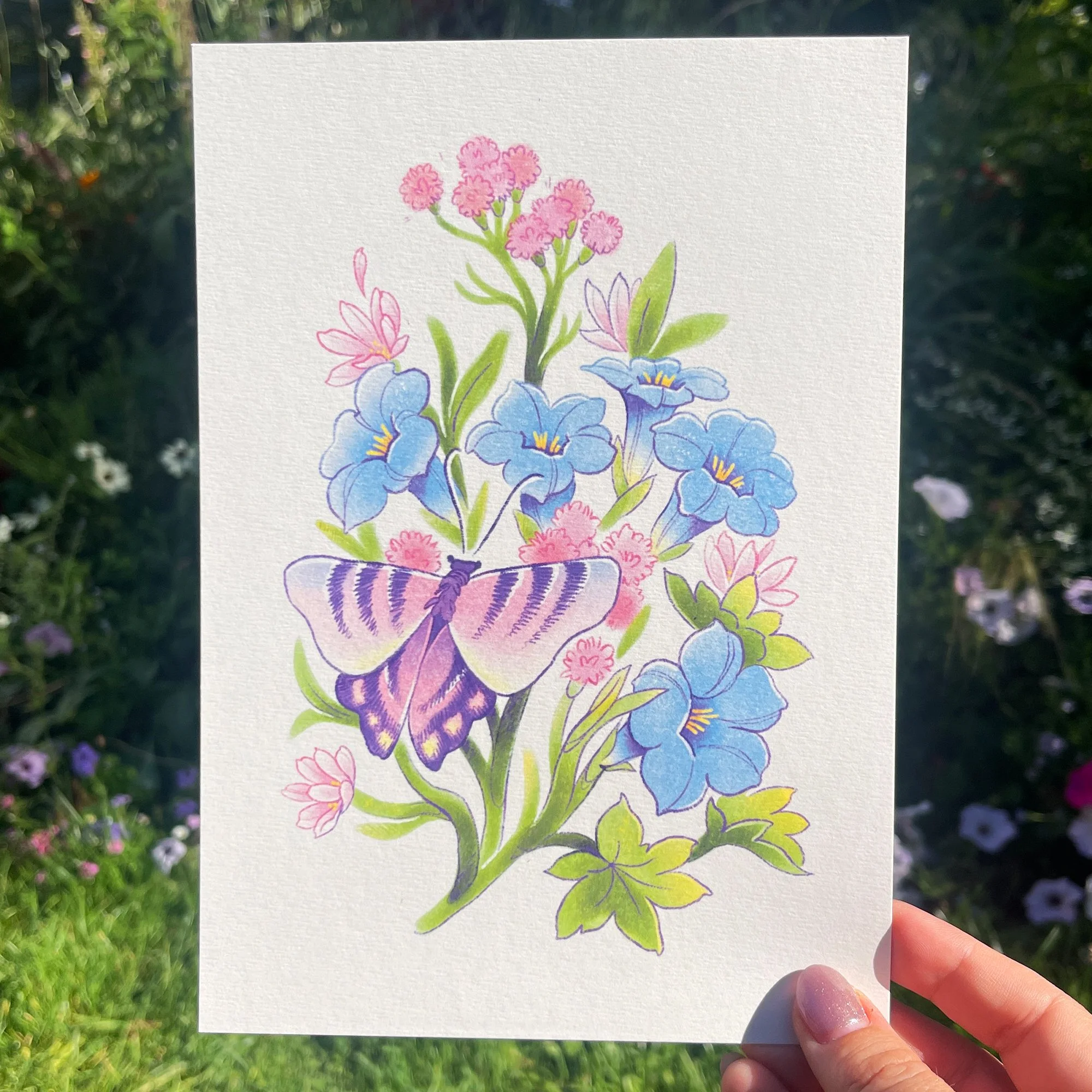 illu Papillon floral