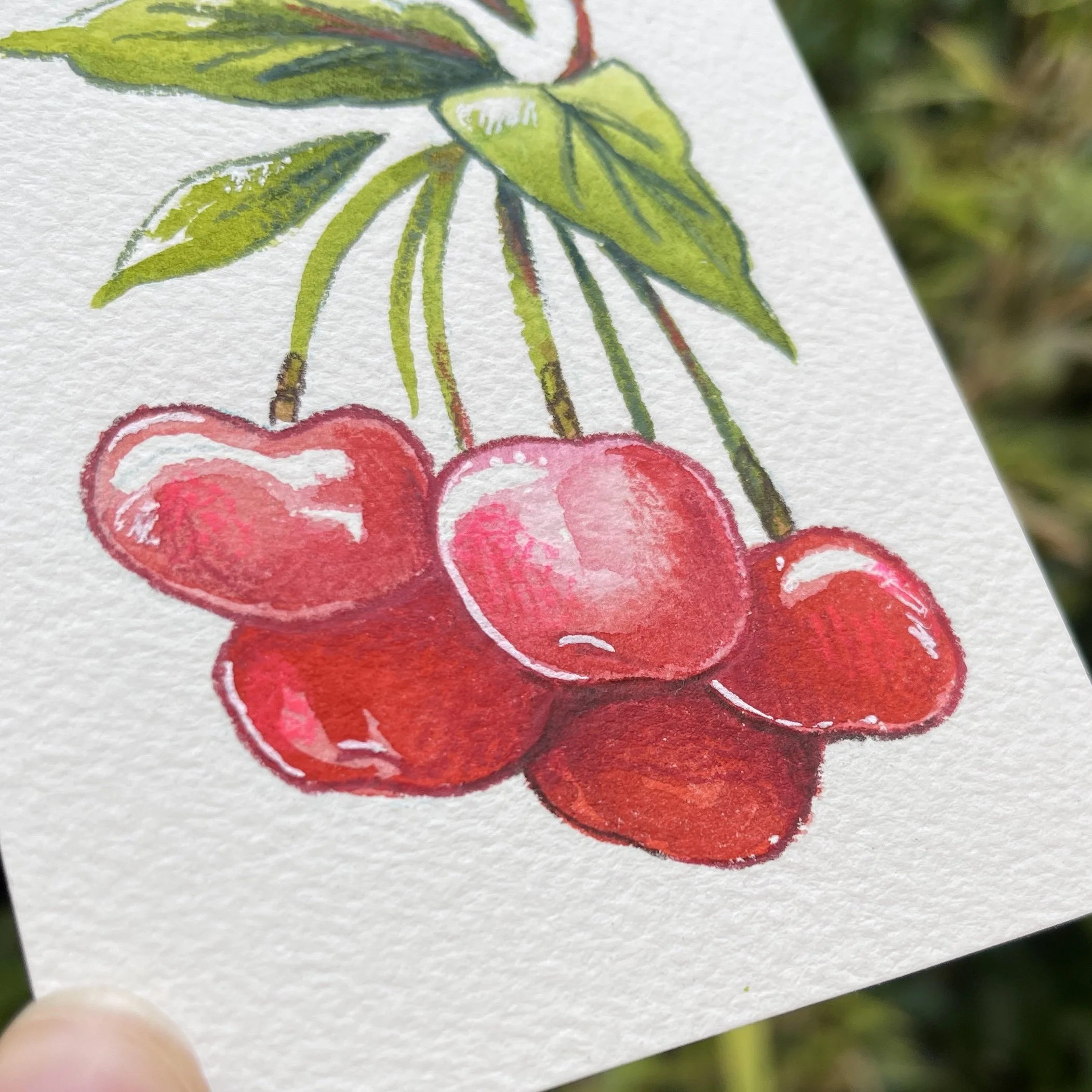 original_cerises2.jpg