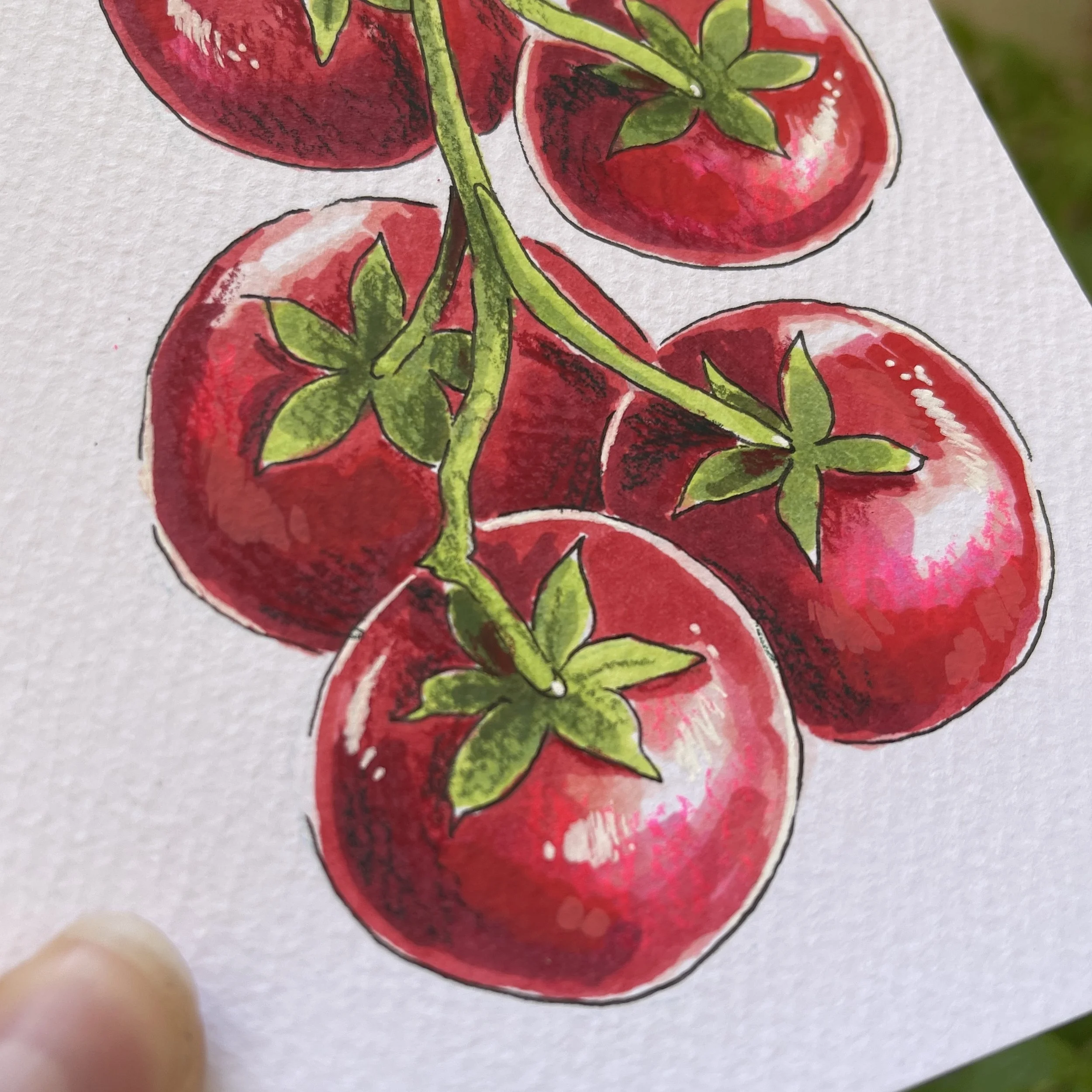 original_tomate.jpg