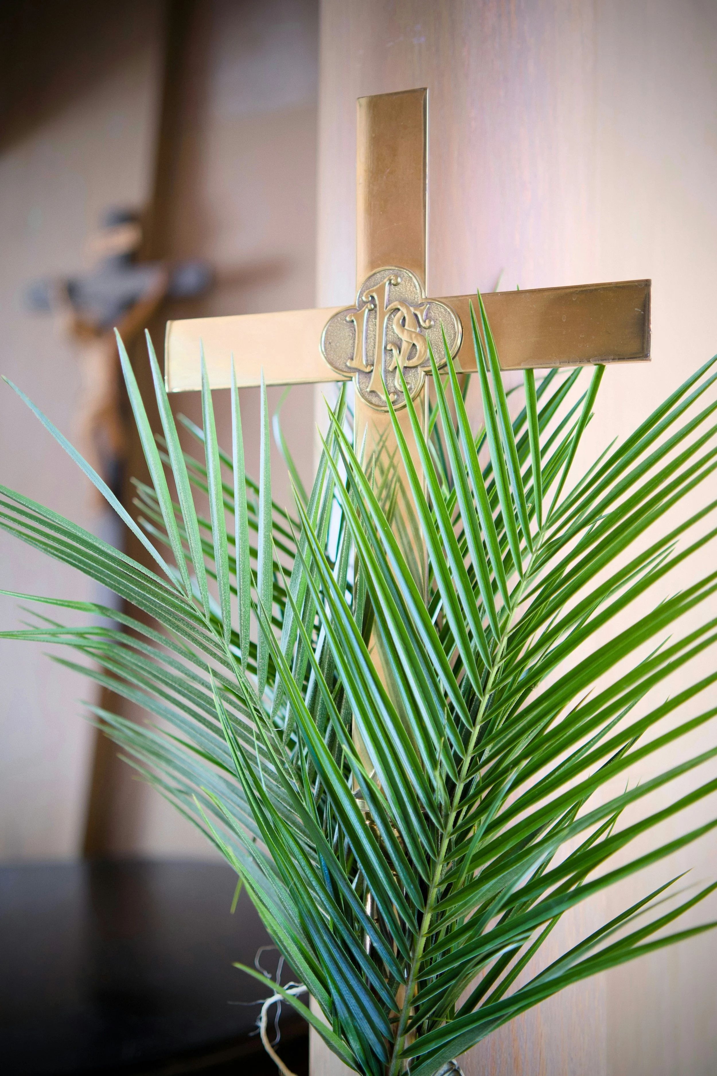 Palm Sunday 