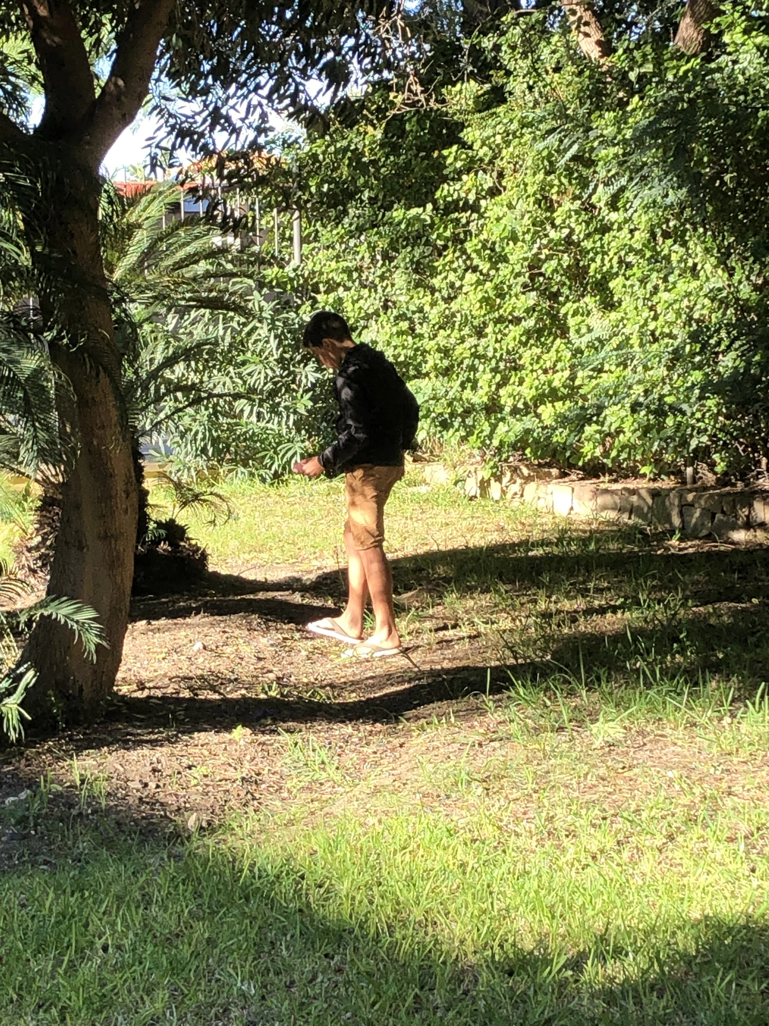 A  young person standing outdoors in a garden or park area, near a large tree and dense green bushes, wearing a black jacket, tan shorts, and flip-flops, exploring nature as part of a Sunday school activity