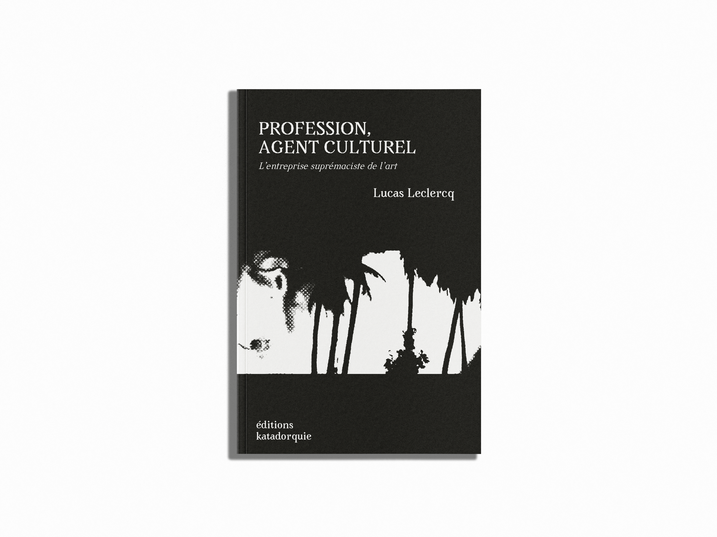 Profession, Agent Culturel - Lucas Leclercq