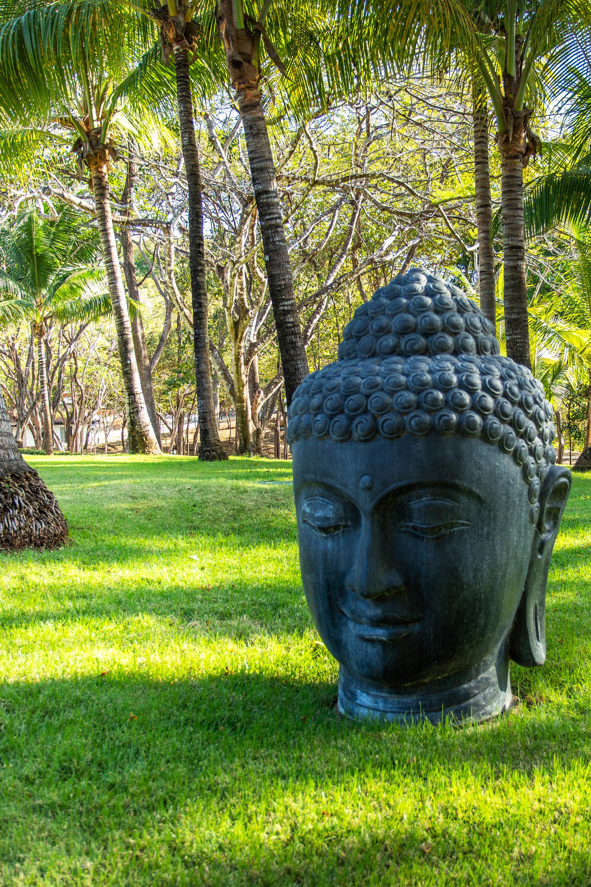 Buddha Head Statue.jpg