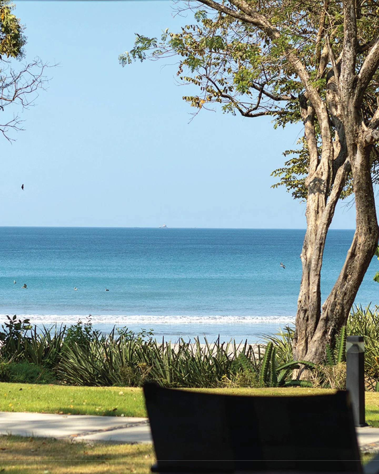 Wake up to the waves. 🌊

Ocean View Casitas at Reunion Hotel &amp; Wellness Center offer breathtaking vistas&mdash;just steps from the soft sands of Sugar Beach. Just a glimpse of life in paradise.

Click the link in bio to book your stay.

#OceanVi