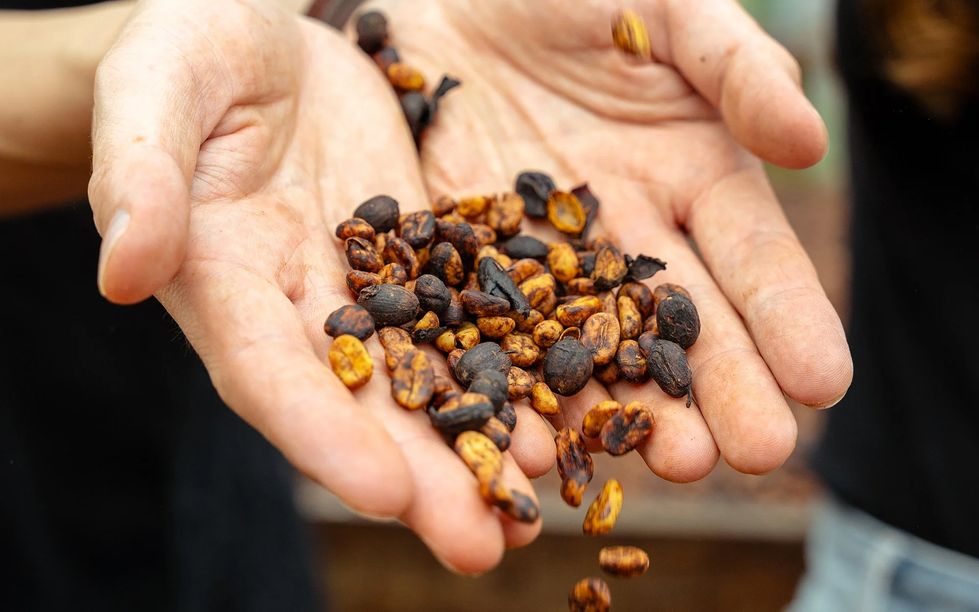 Specialty Coffee &amp; Chocolate Tour