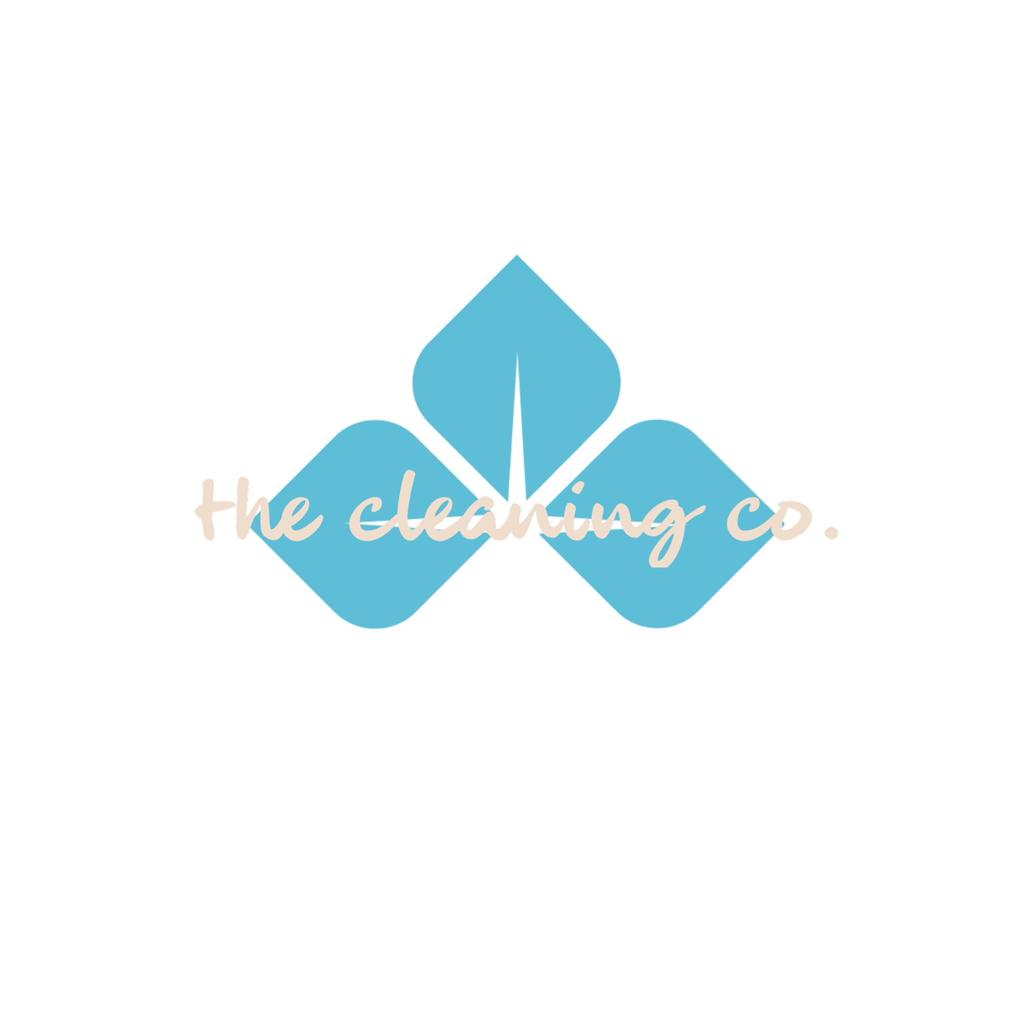 The Cleaning Co., TX