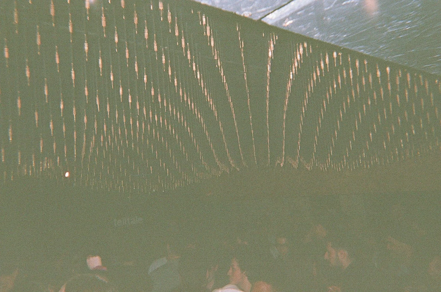 A crowd of people in a dimly lit space with a ceiling decorated with hanging lights arranged in curved patterns.