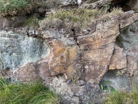 Lavas and sediments at St Cyrus, Angus, Scotland