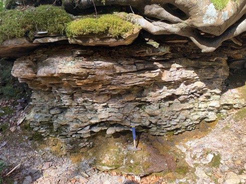 Devonian fish-bearing nodules, Moray, Scotland