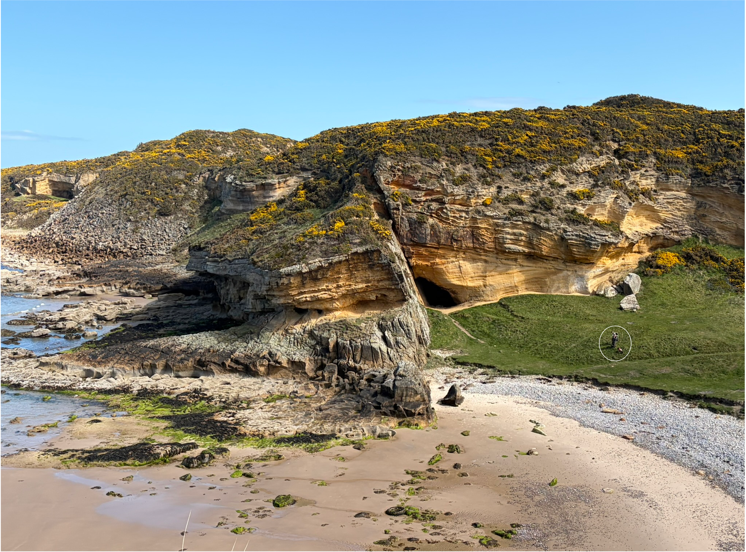 Clashach Cove Fault, Moray Coast