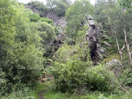 Jointing in quartz-dolerite, Gloom Hill Quarry, Dollar