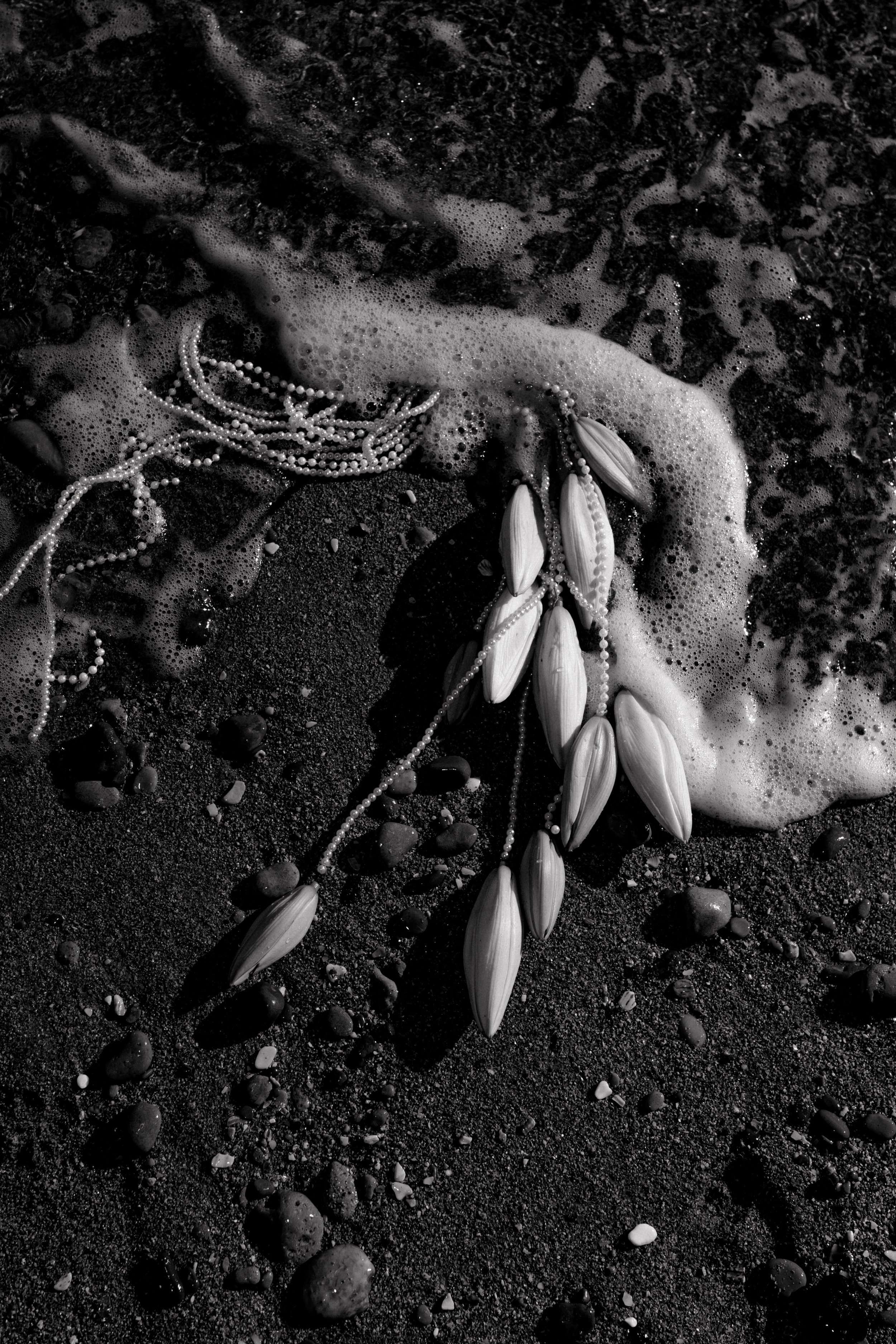 Perles et coquillages sur une plage de sable noir avec des vagues et des petits galets.