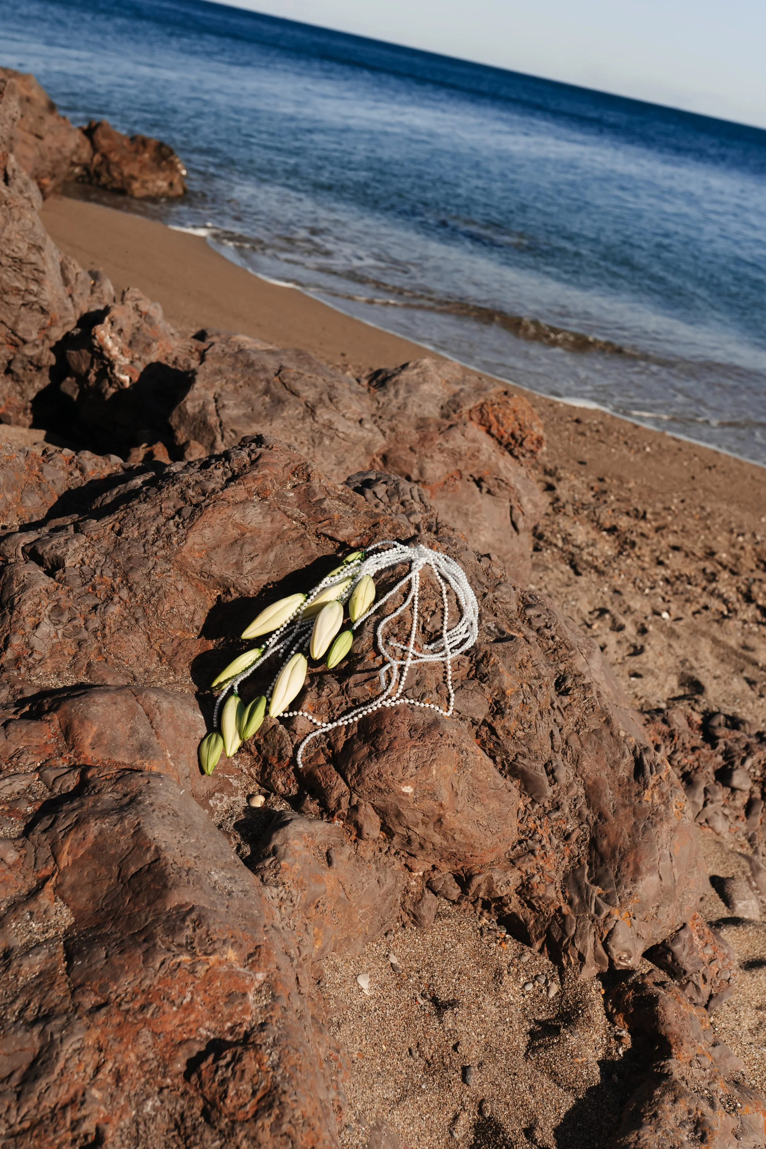 Des grains de beauté blancs sur une roche au bord de la mer, avec des vagues qui déferlent doucement en arrière-plan.