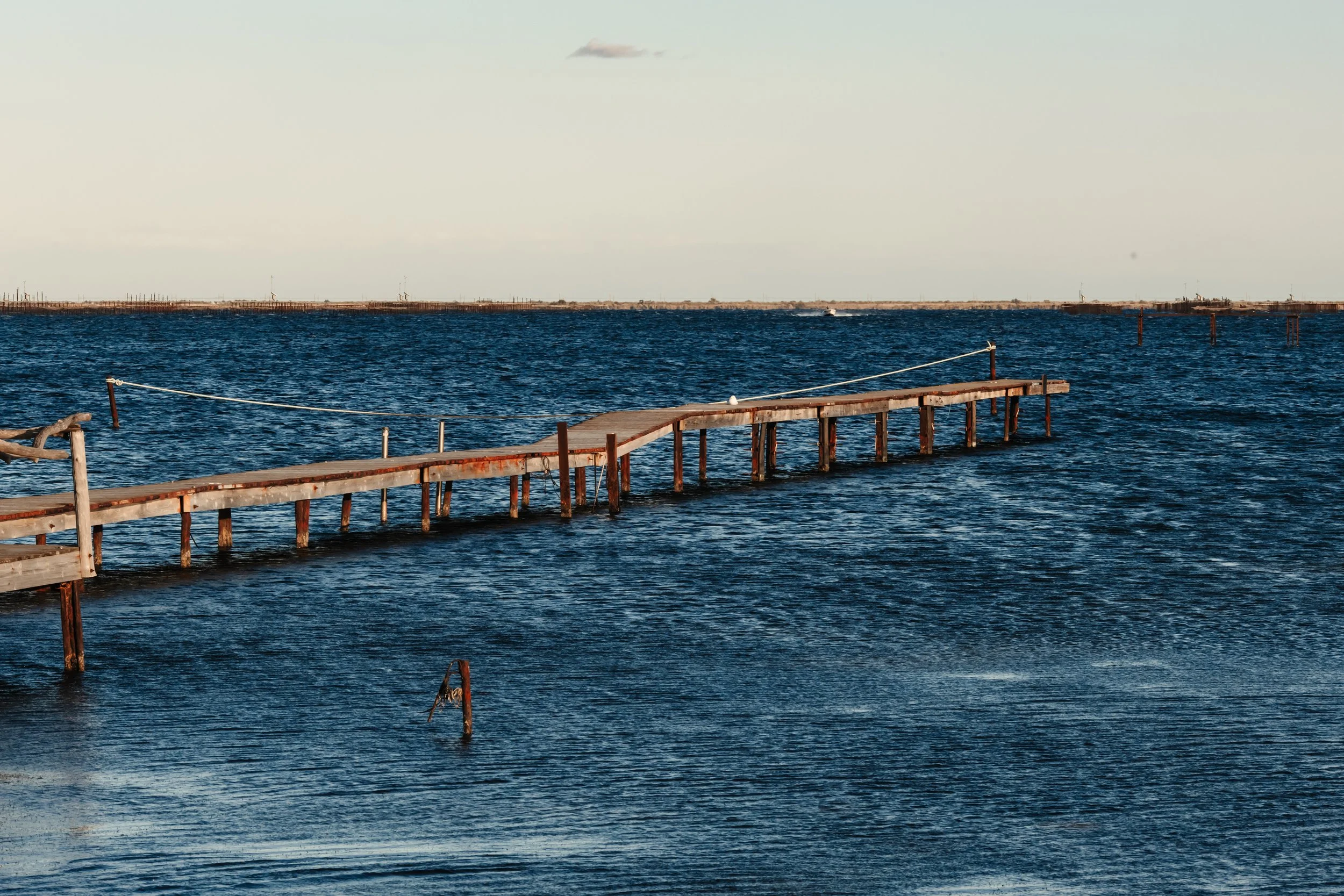 Un pont en bois qui s'étend dans l'eau, avec une barrière de corde de chaque côté, dans un environnement marin calme.