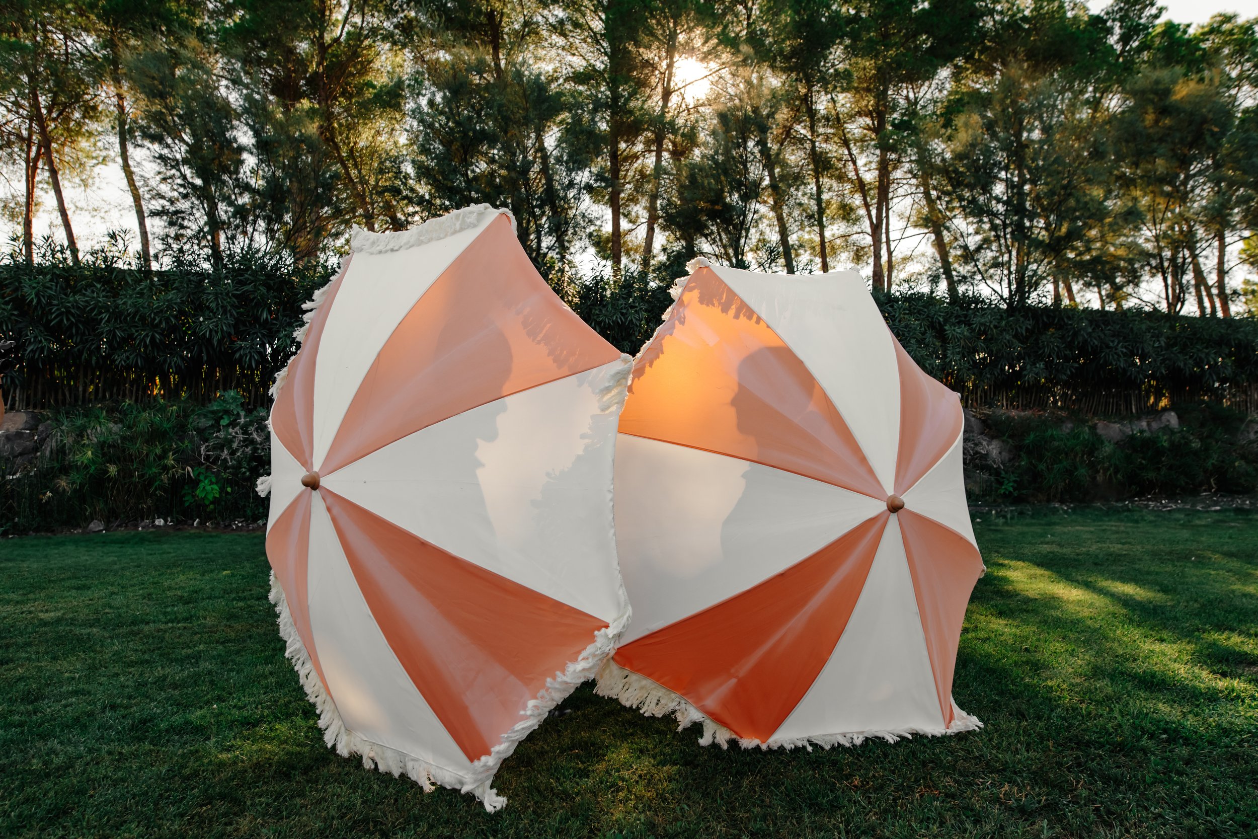 Deux parasols rayés orange et blanc, ouverts, sur une pelouse verte avec un arrière-plan d'arbres au coucher du soleil.