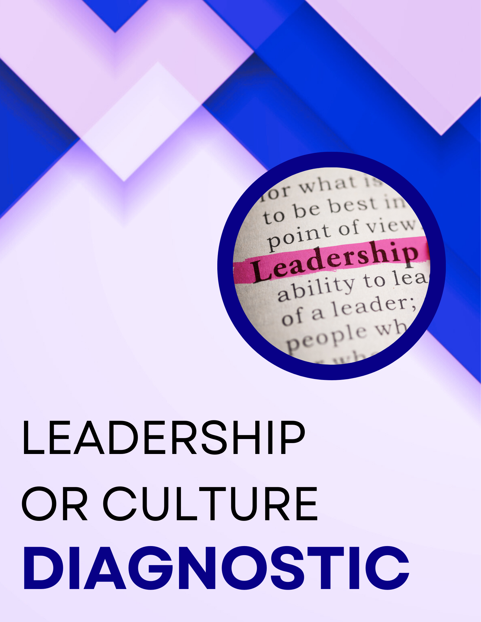 Leadership or Culture Diagnostic (4–6 weeks)