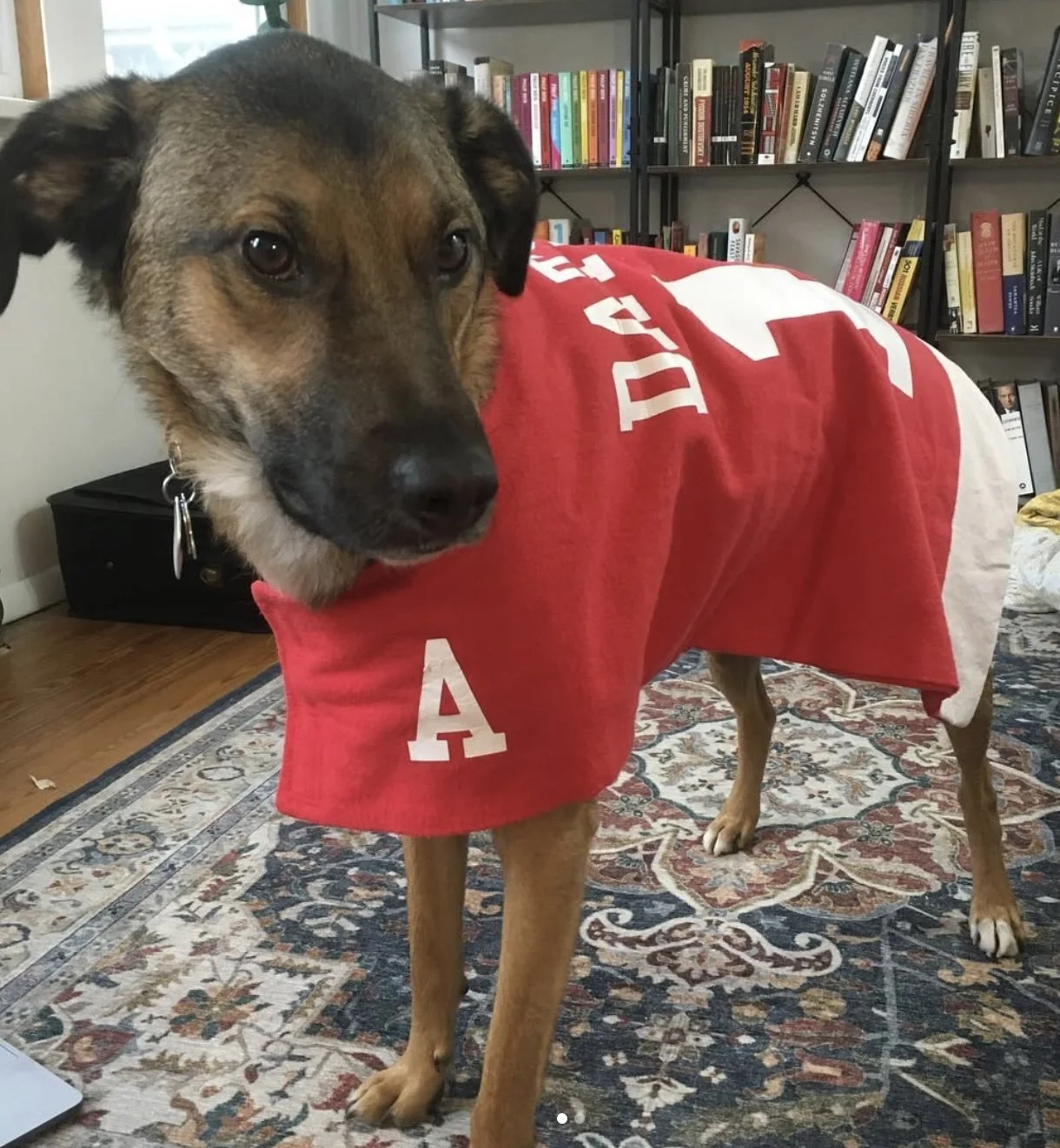 Datsyuk Sweater.jpg