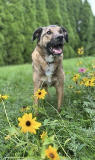 Who’s a Good Leader!? You Are!